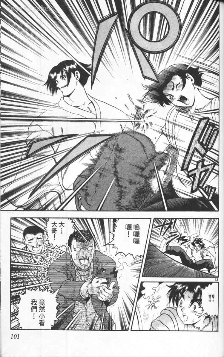 Page 102