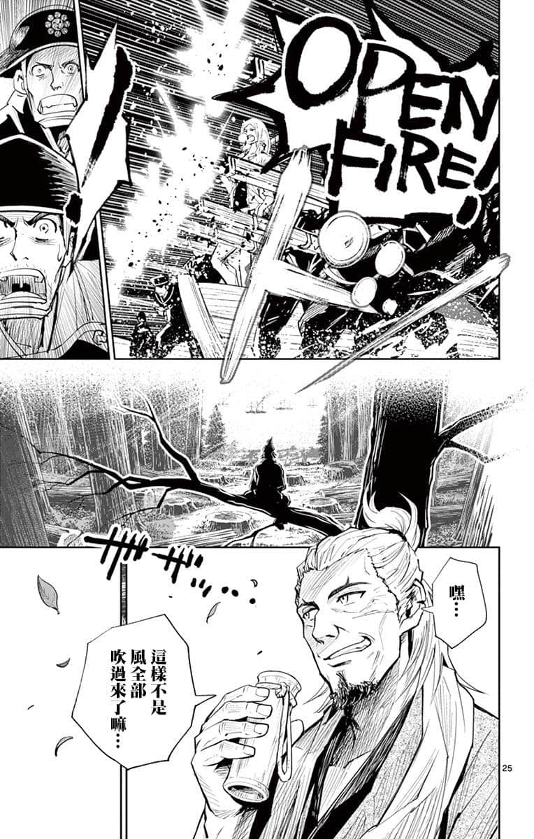 Page 25