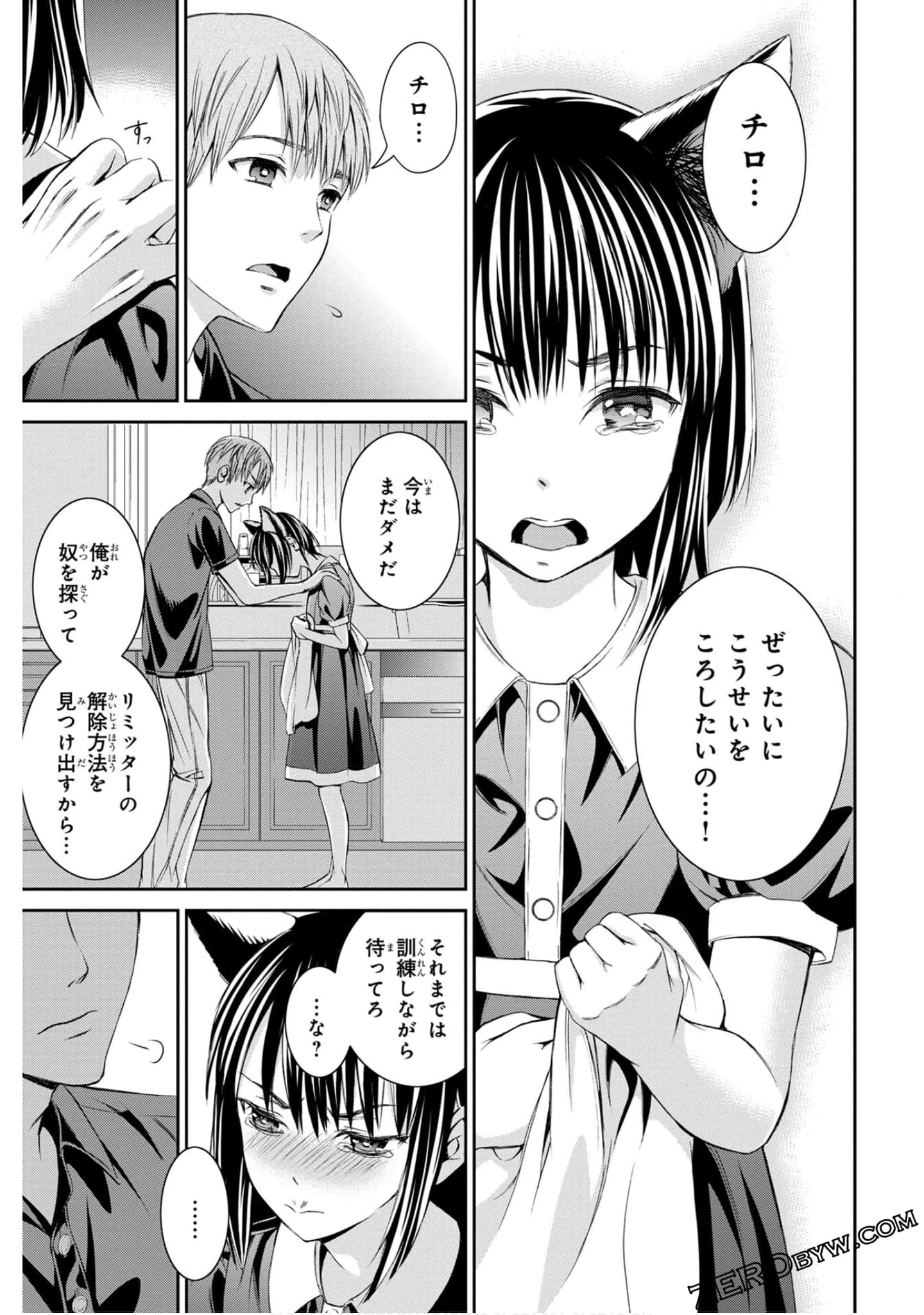 Page 43