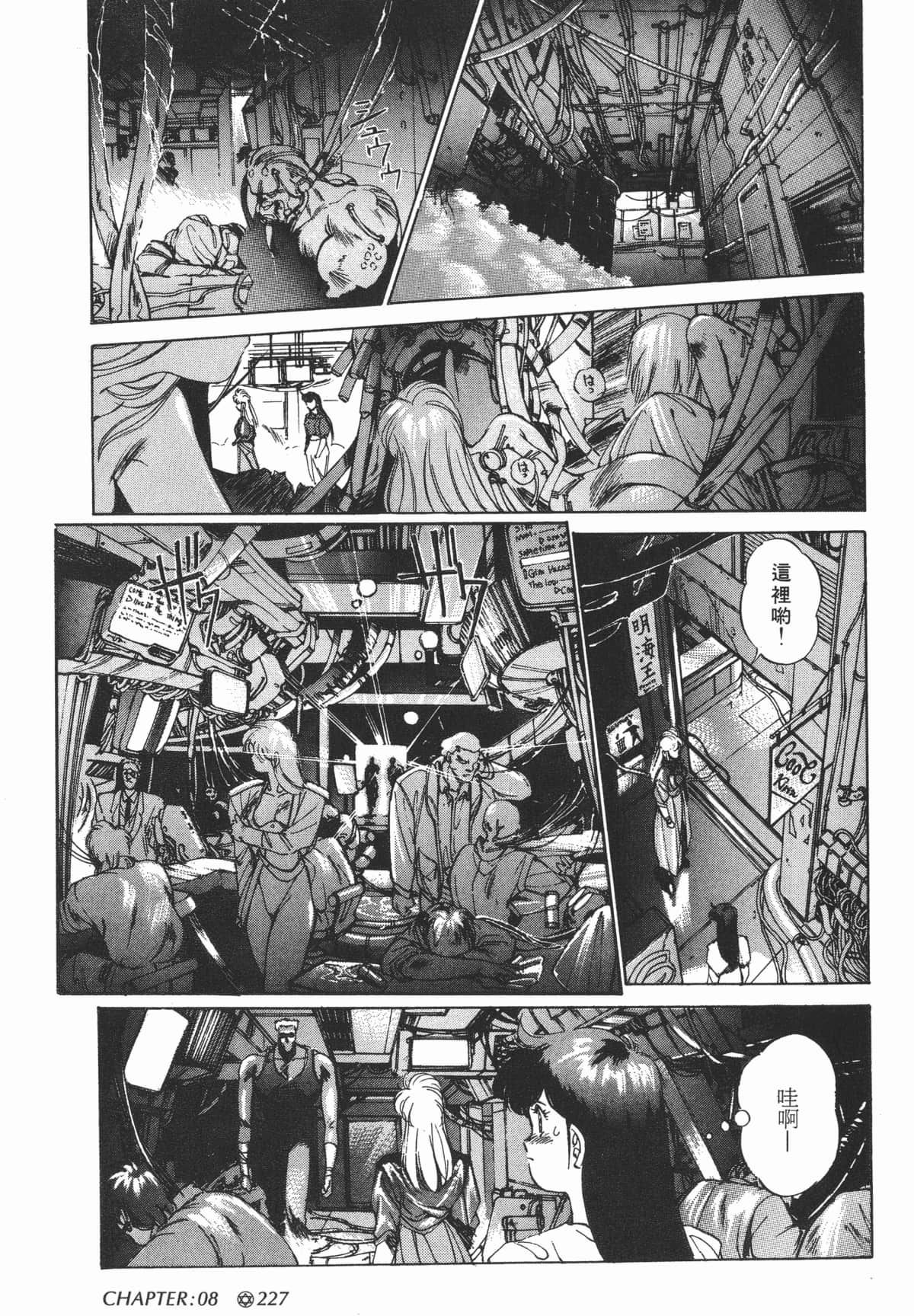 Page 229