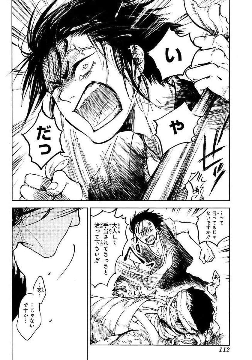 Page 113