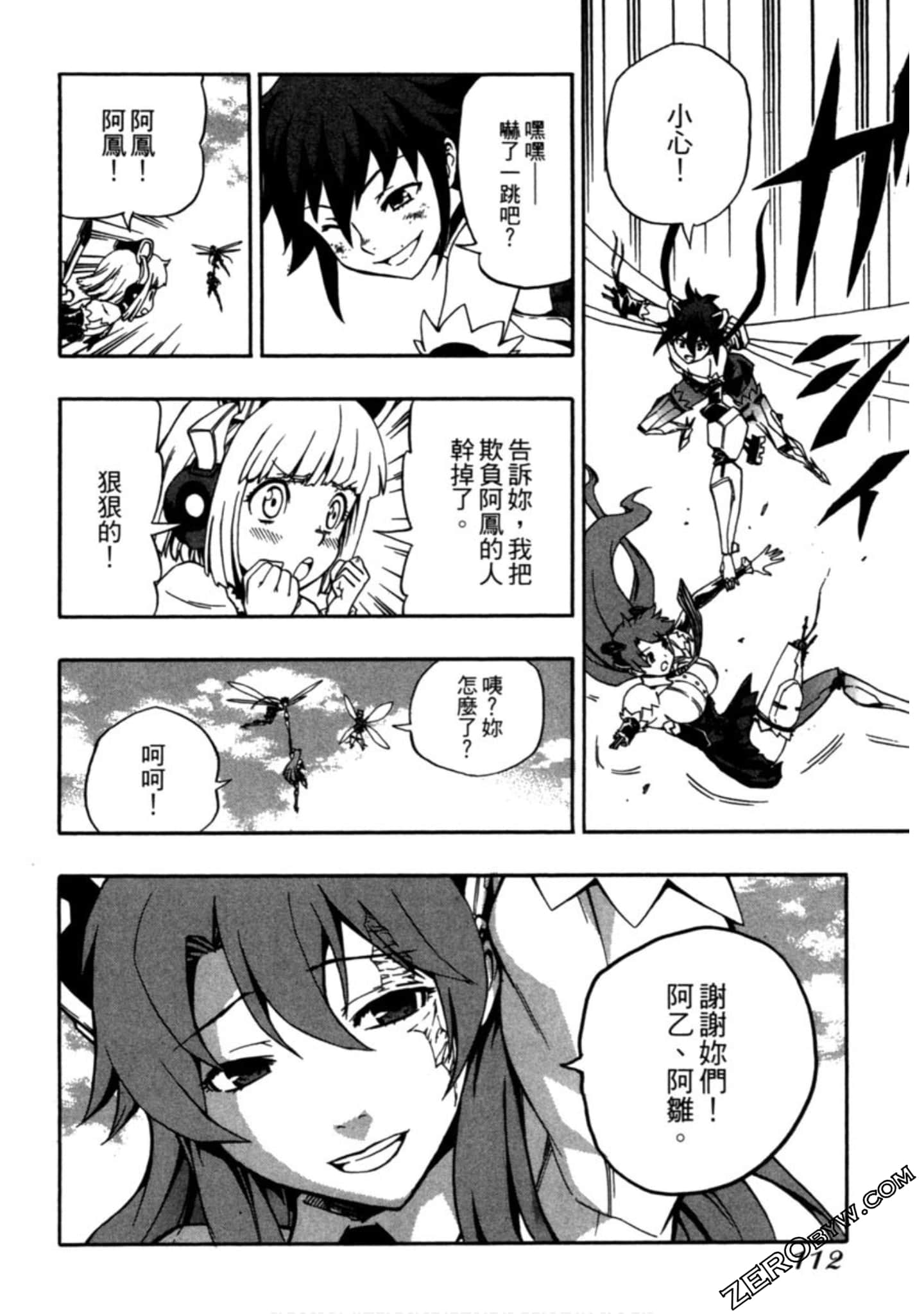 Page 113