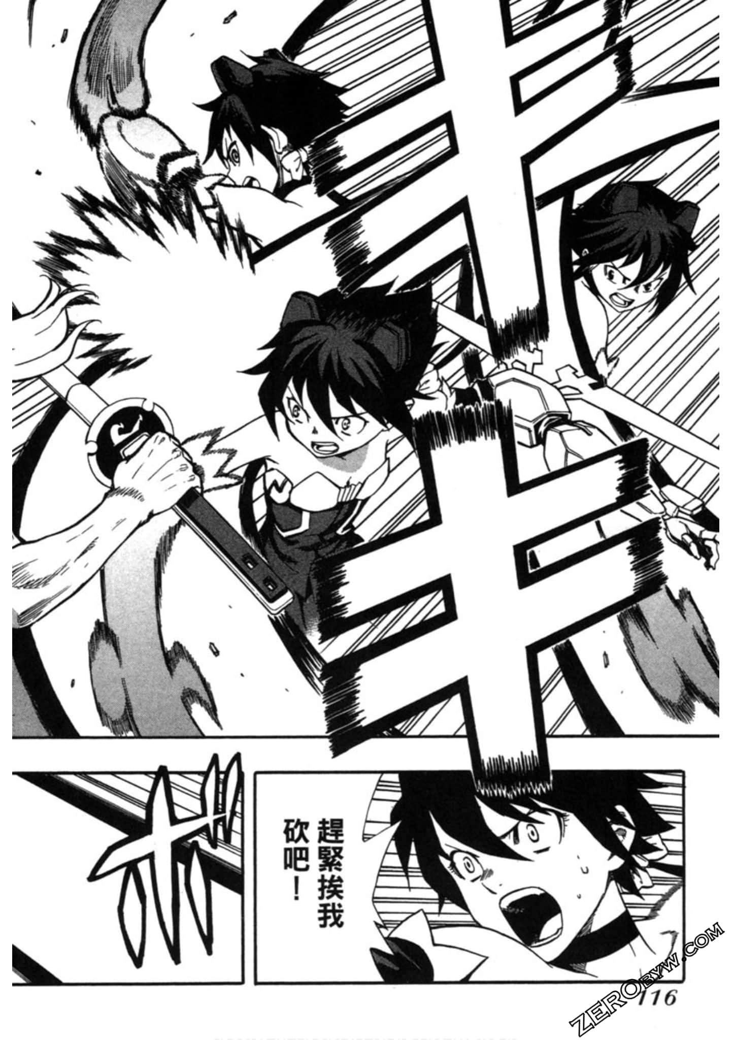 Page 117