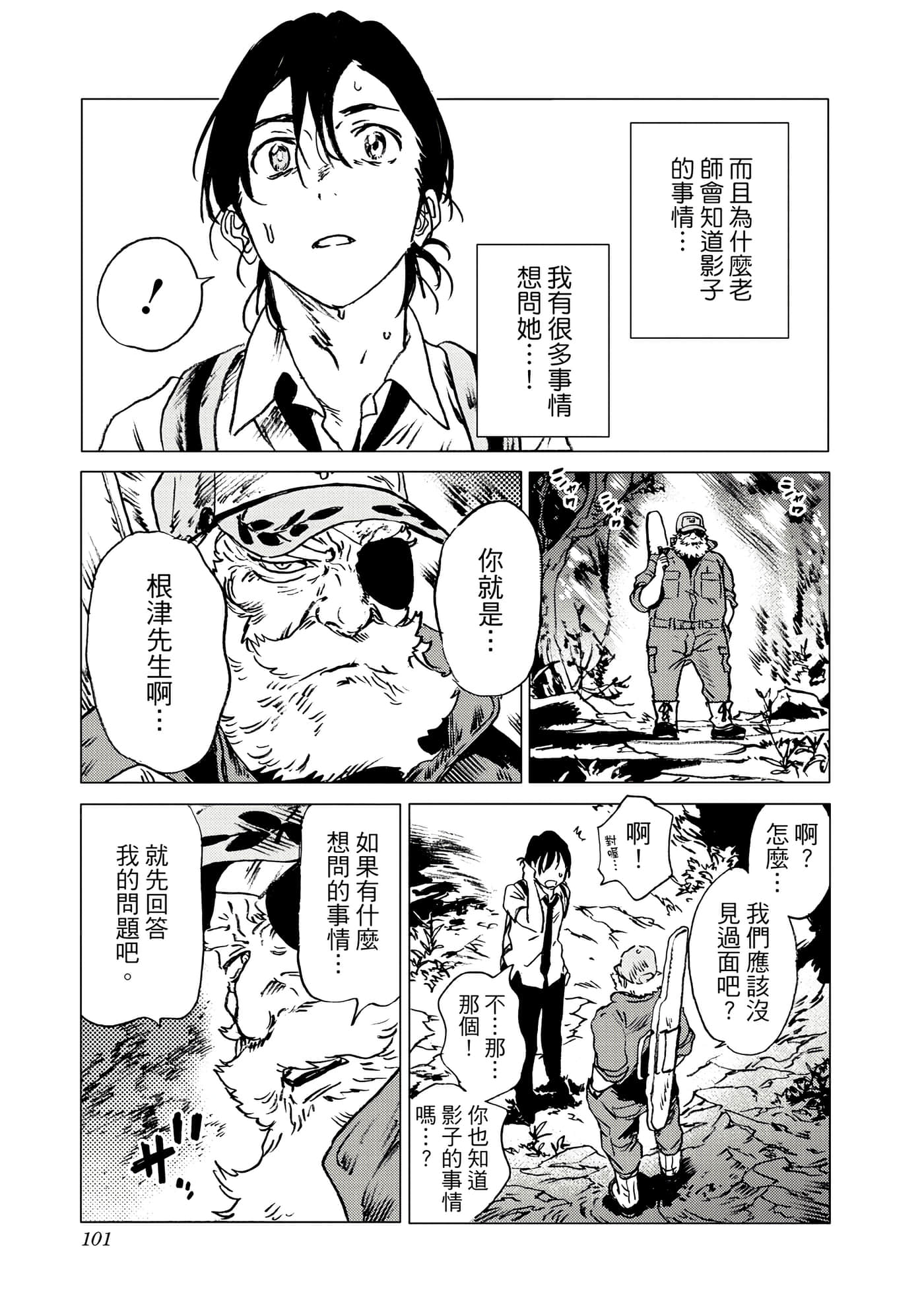 Page 101