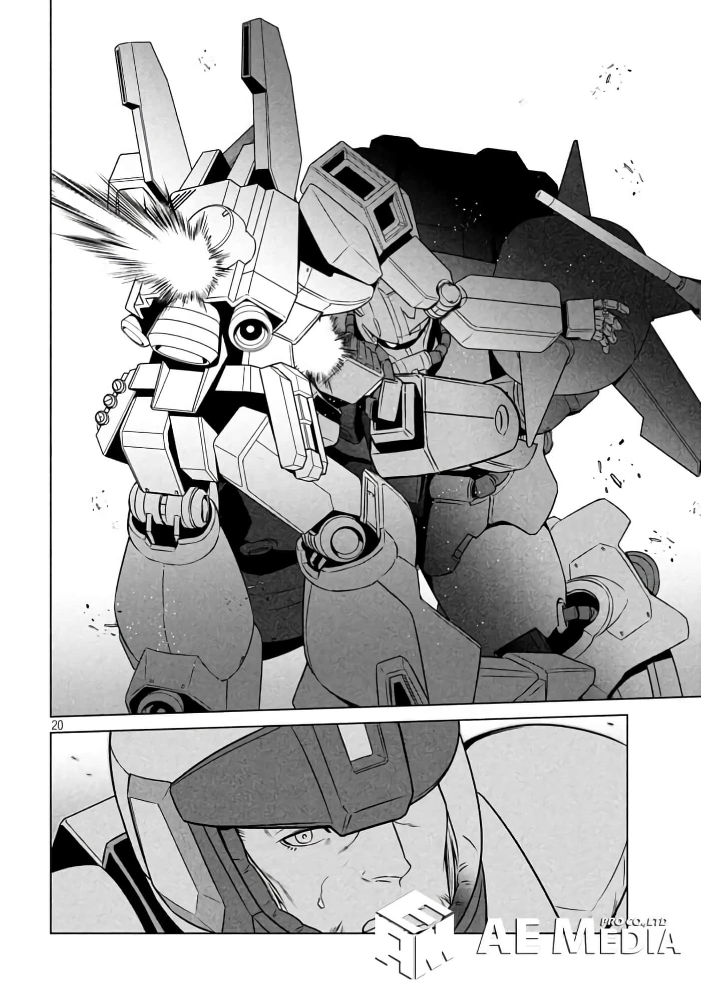 第 20 页