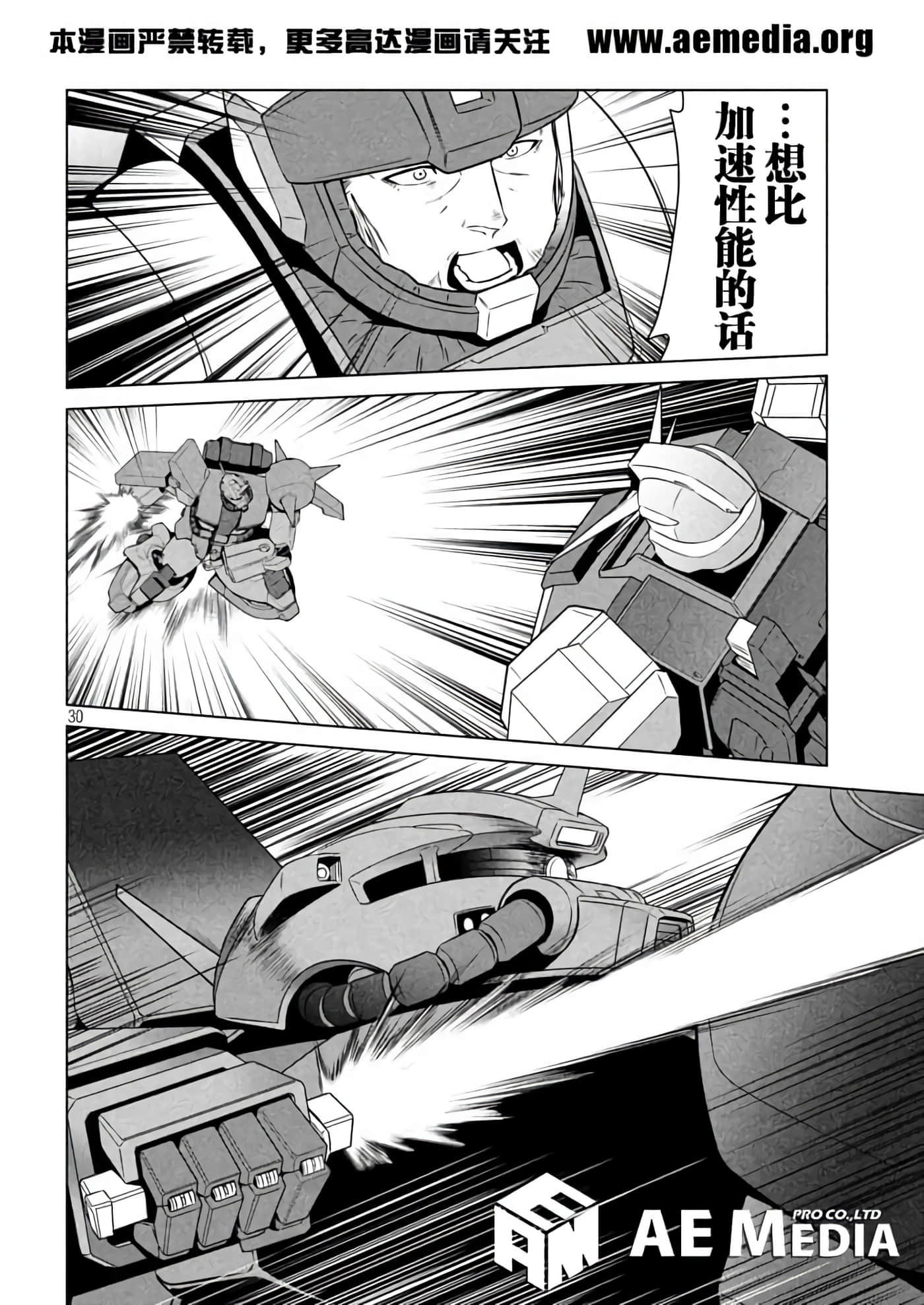 第 30 页