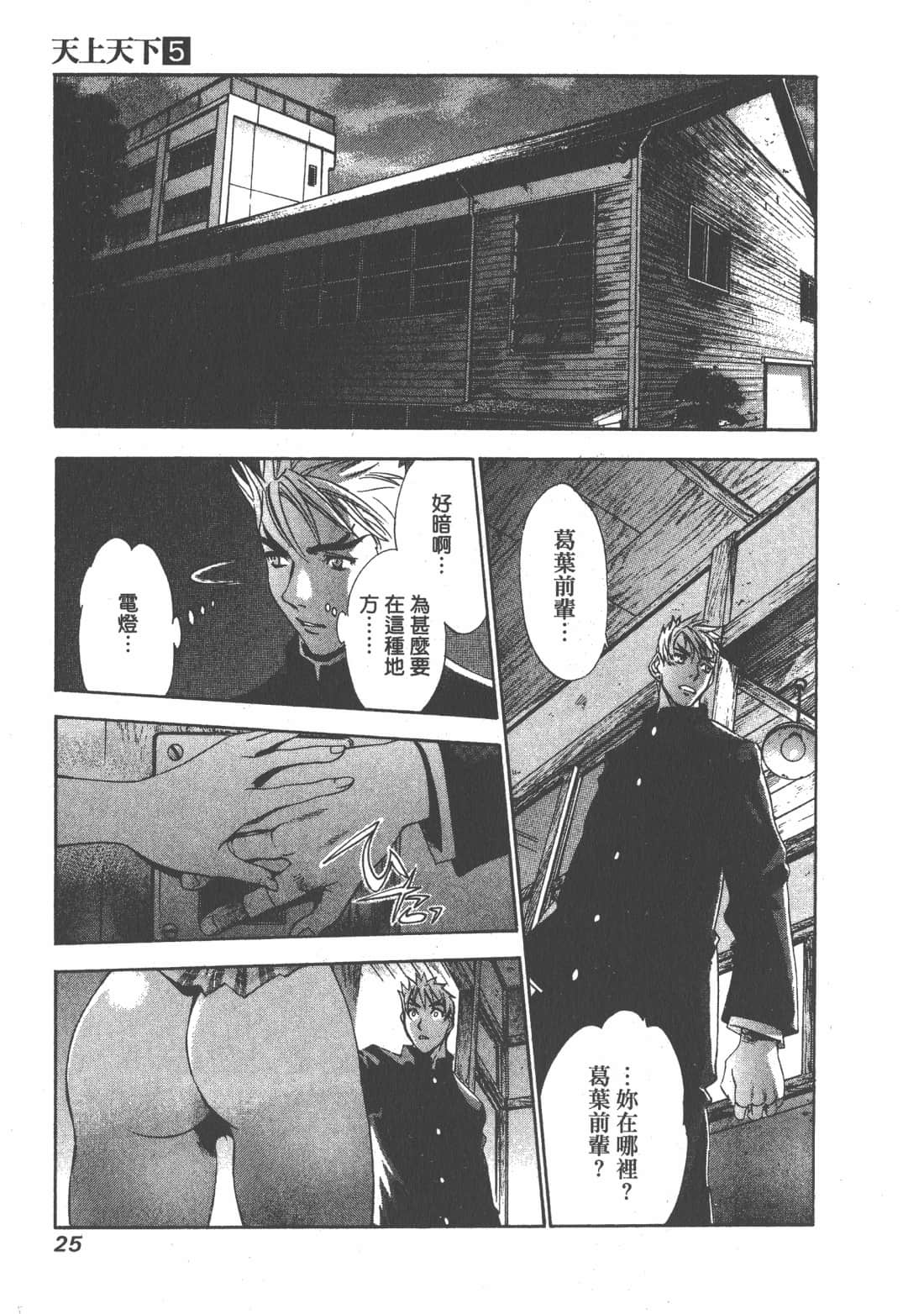 第 25 页