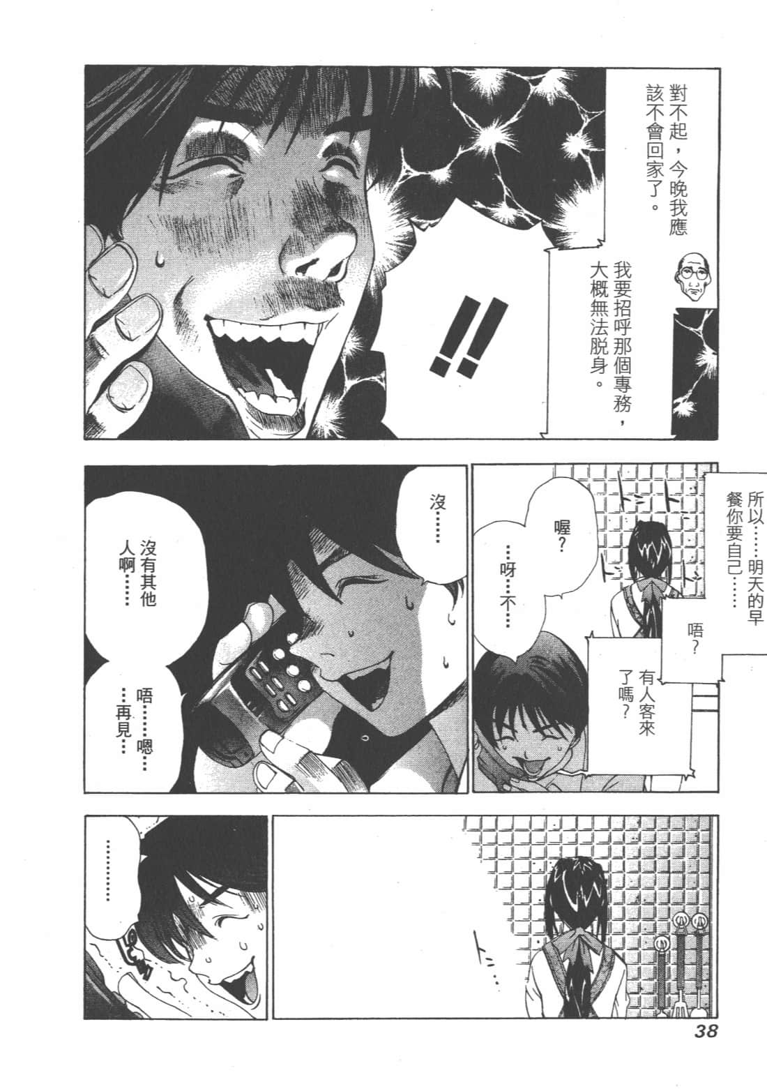 第 38 页