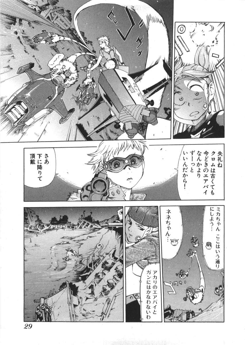 Page 29
