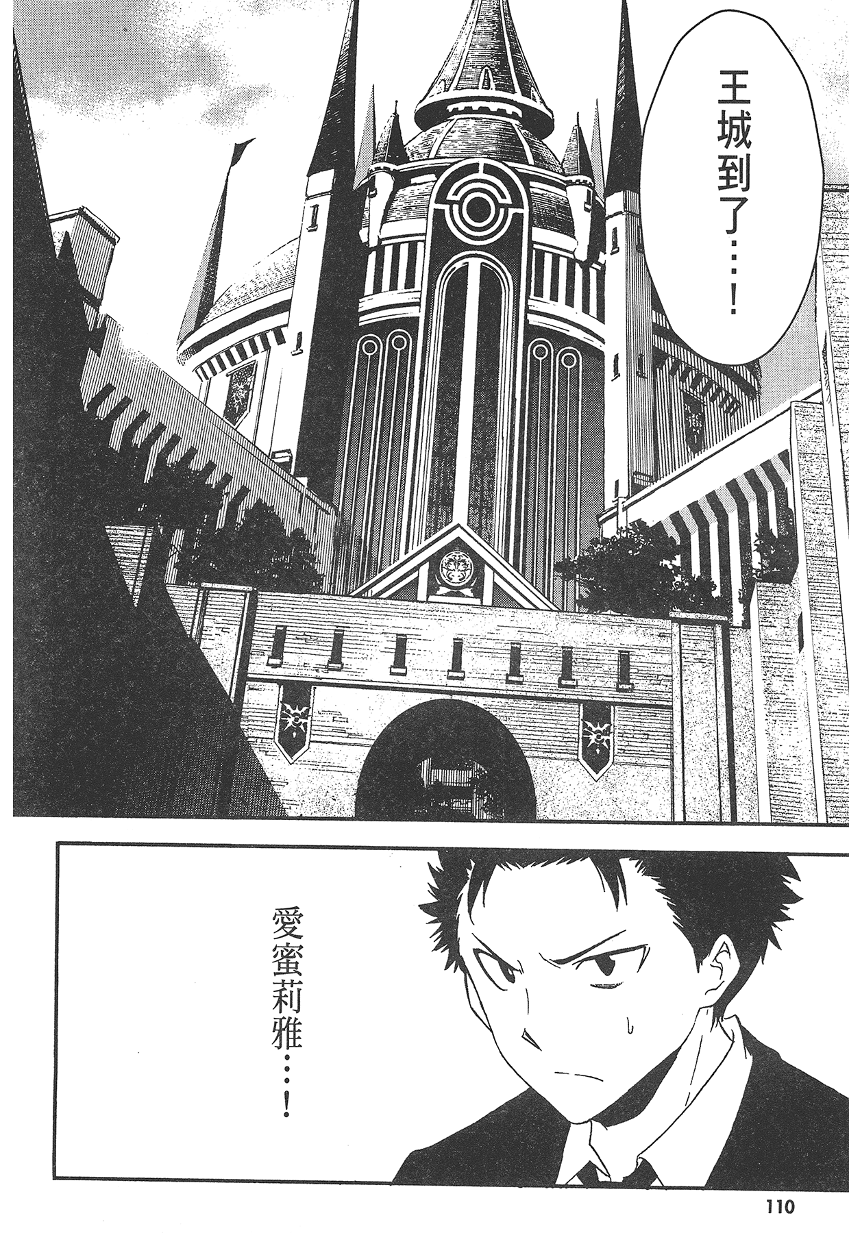 Page 111