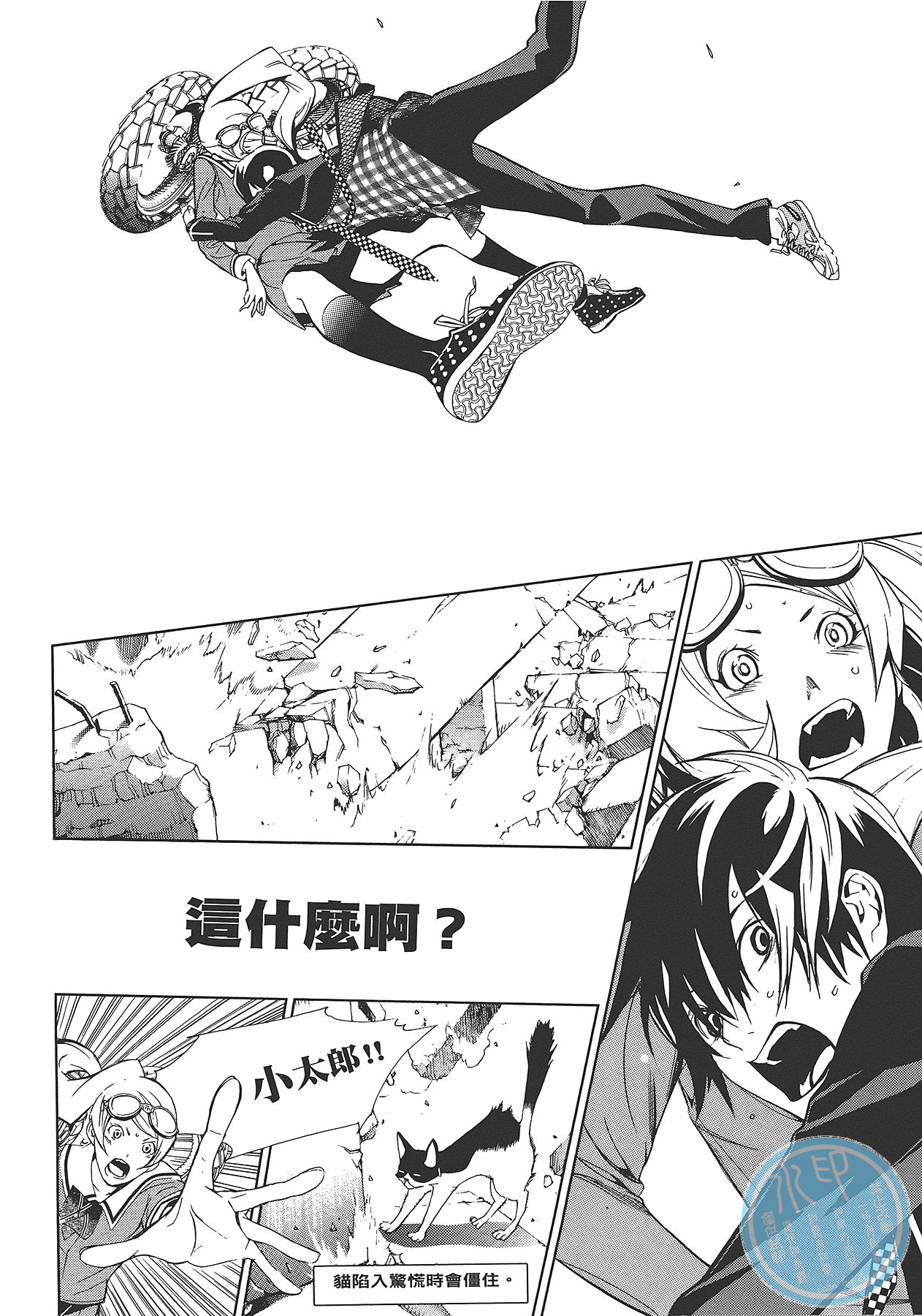 Page 101
