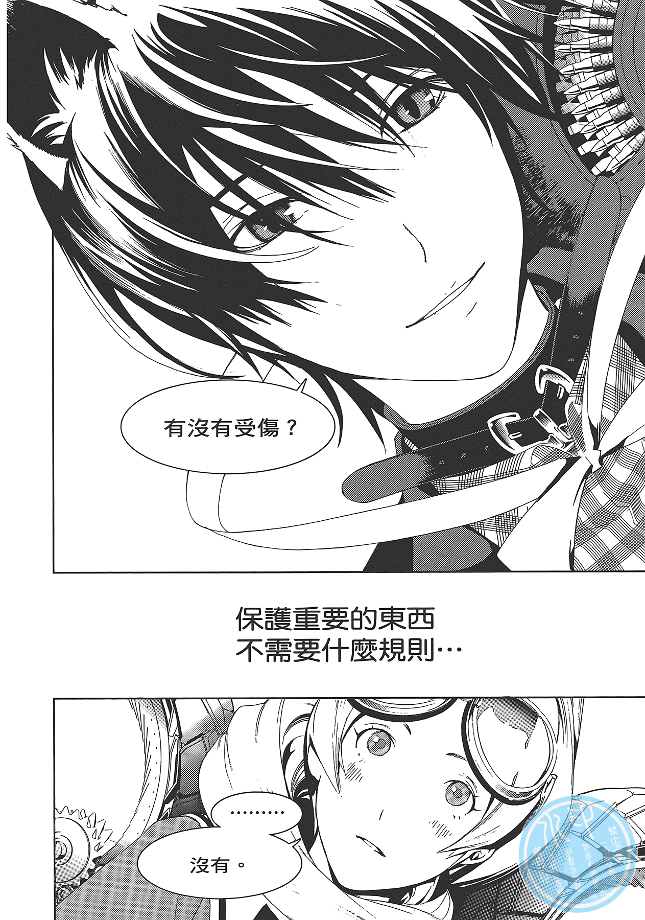 Page 113