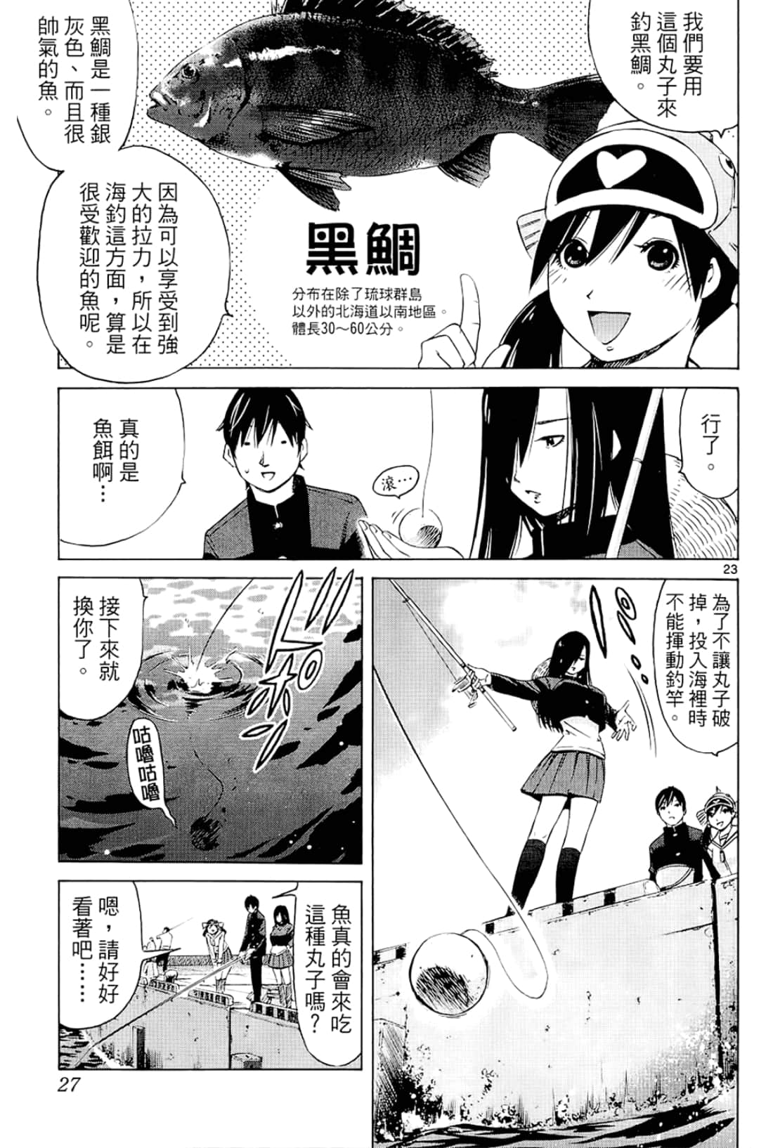 Page 27