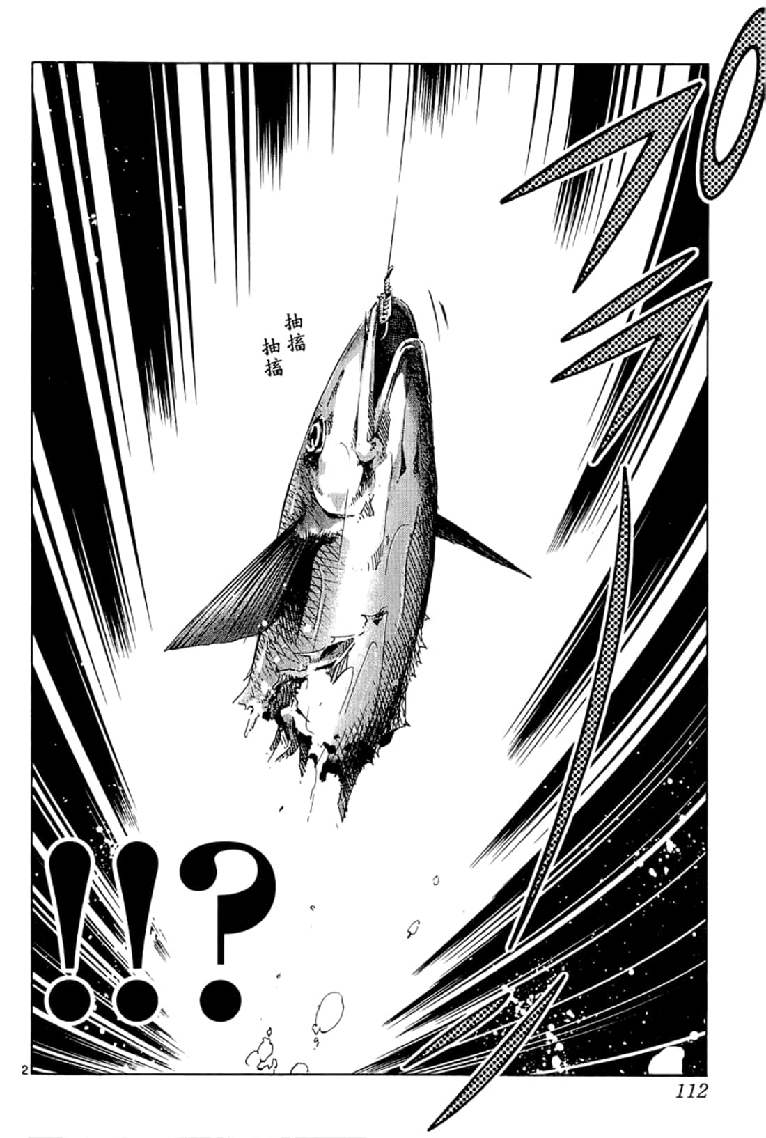 Page 112