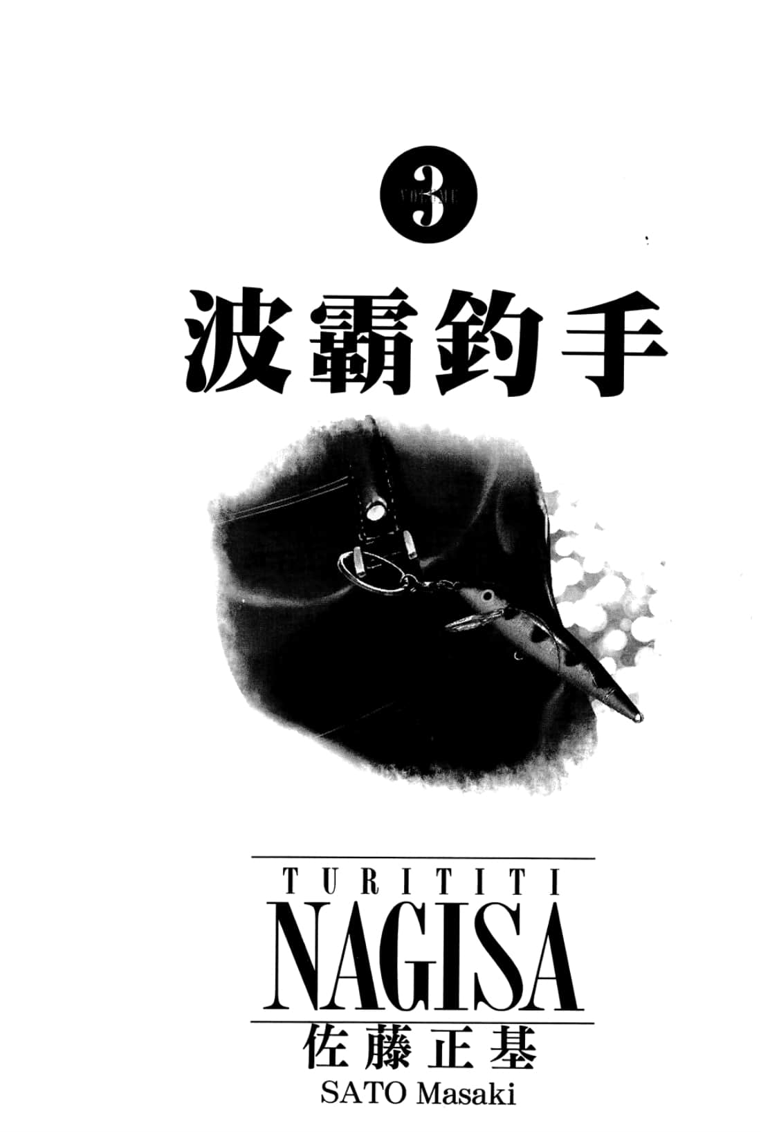第 3 页
