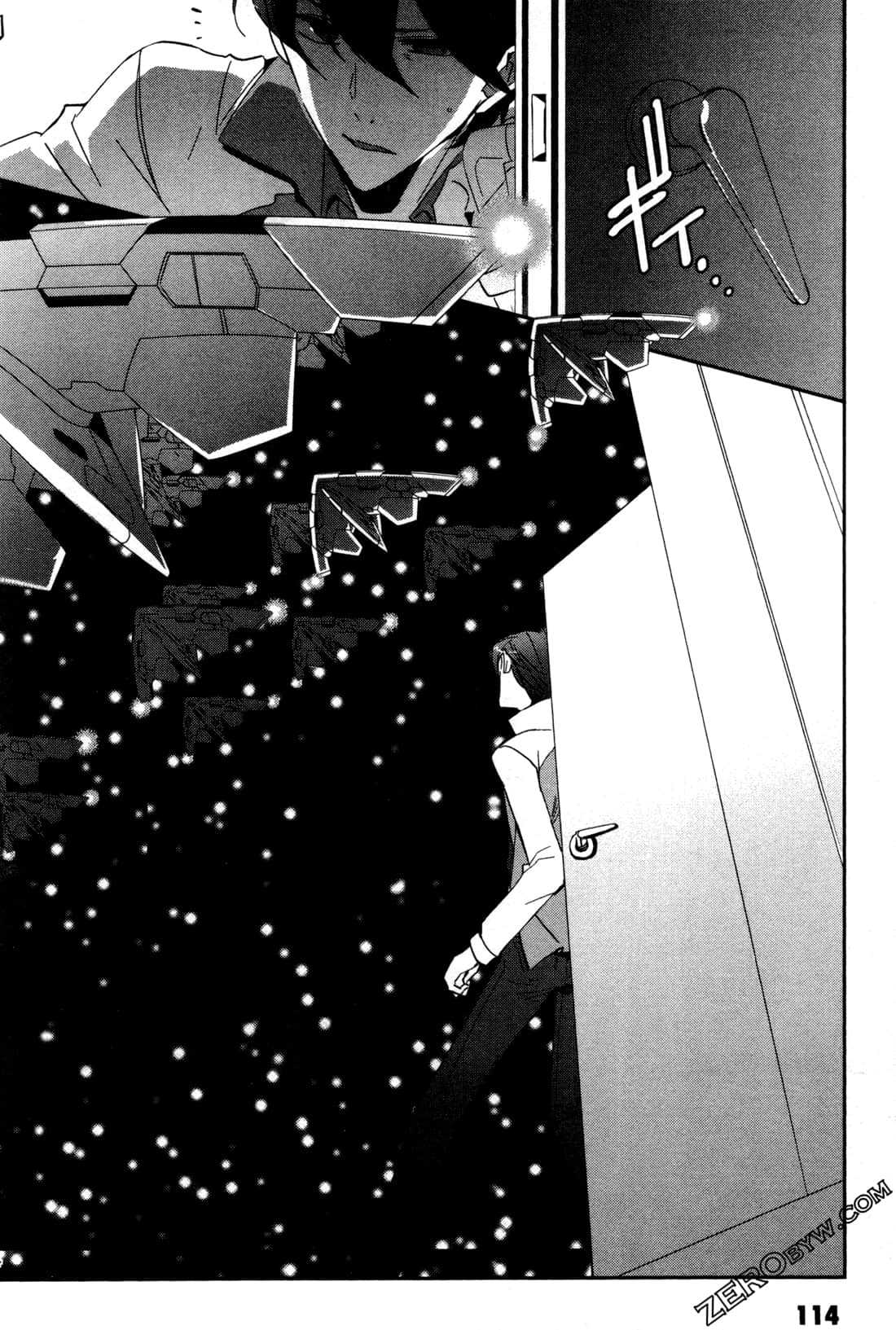 Page 117