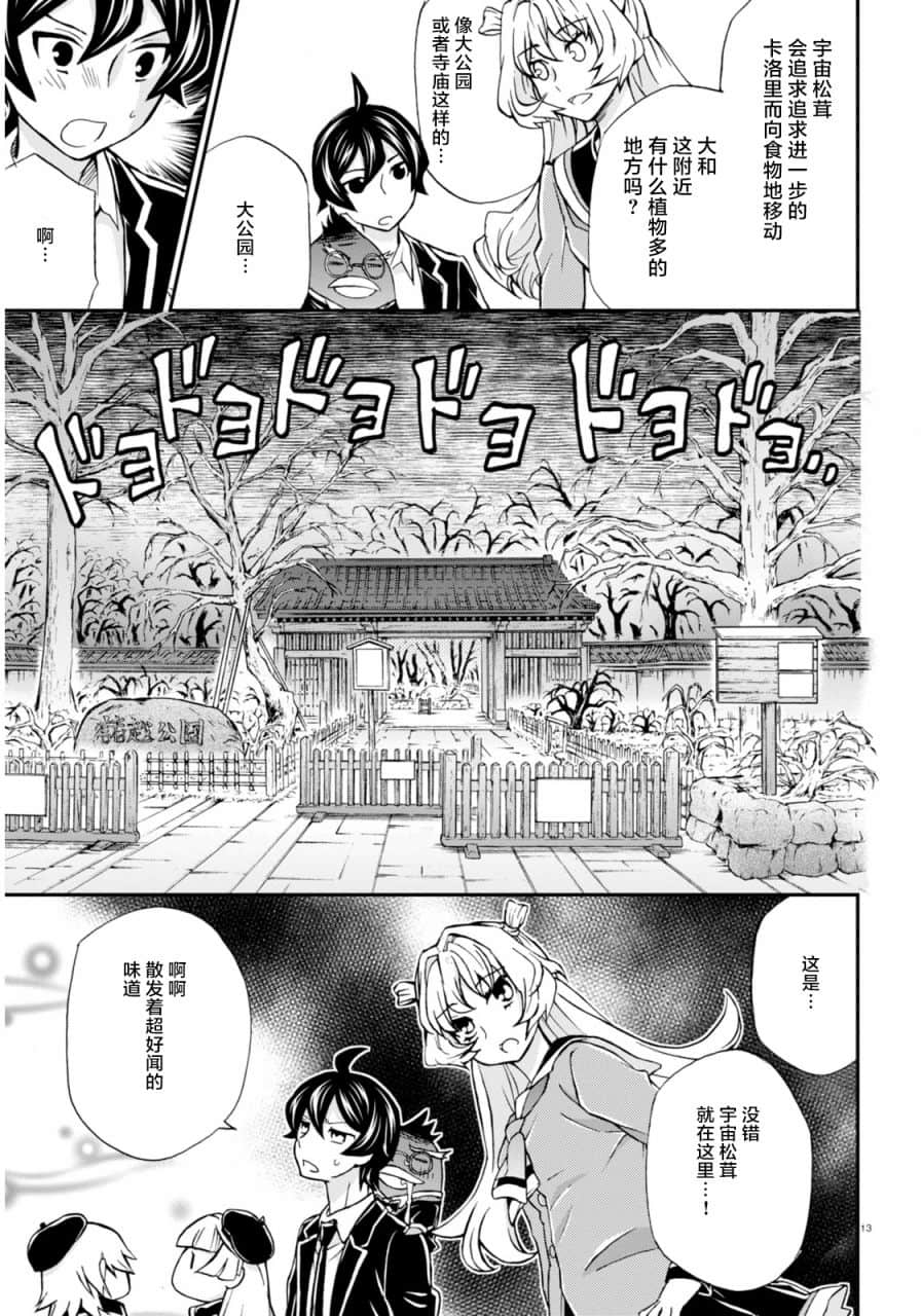Page 13