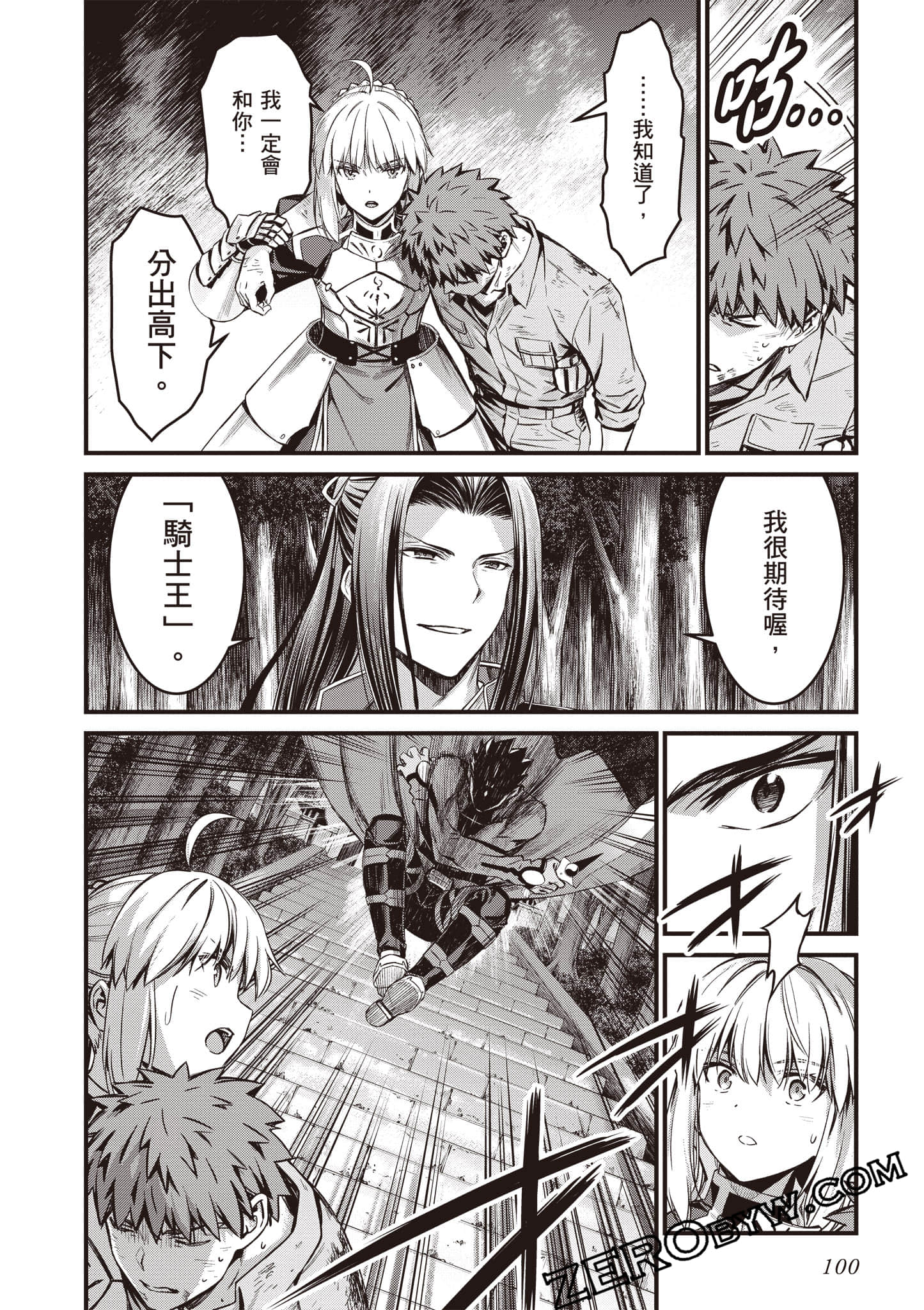 Page 101