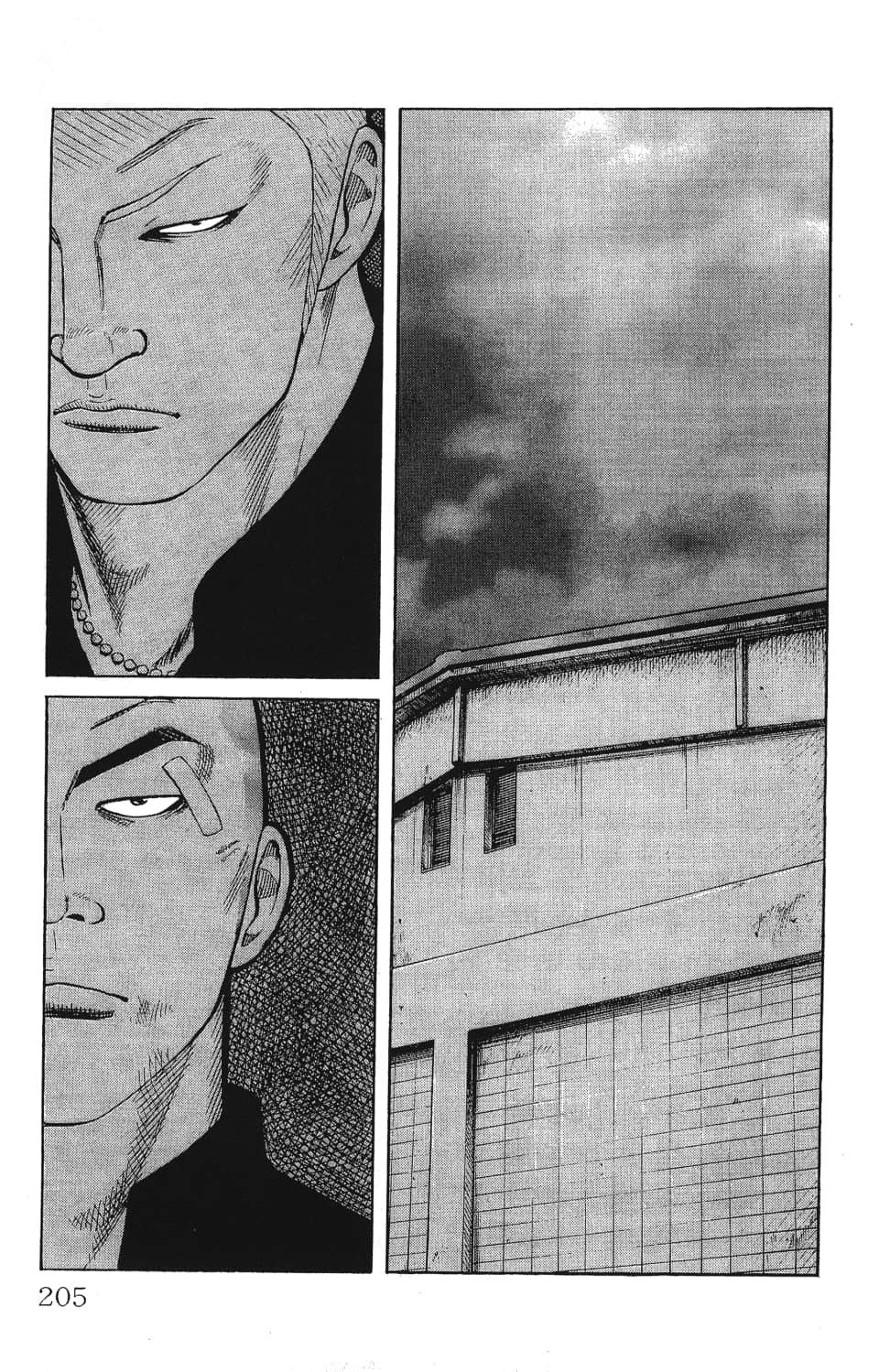 Page 207