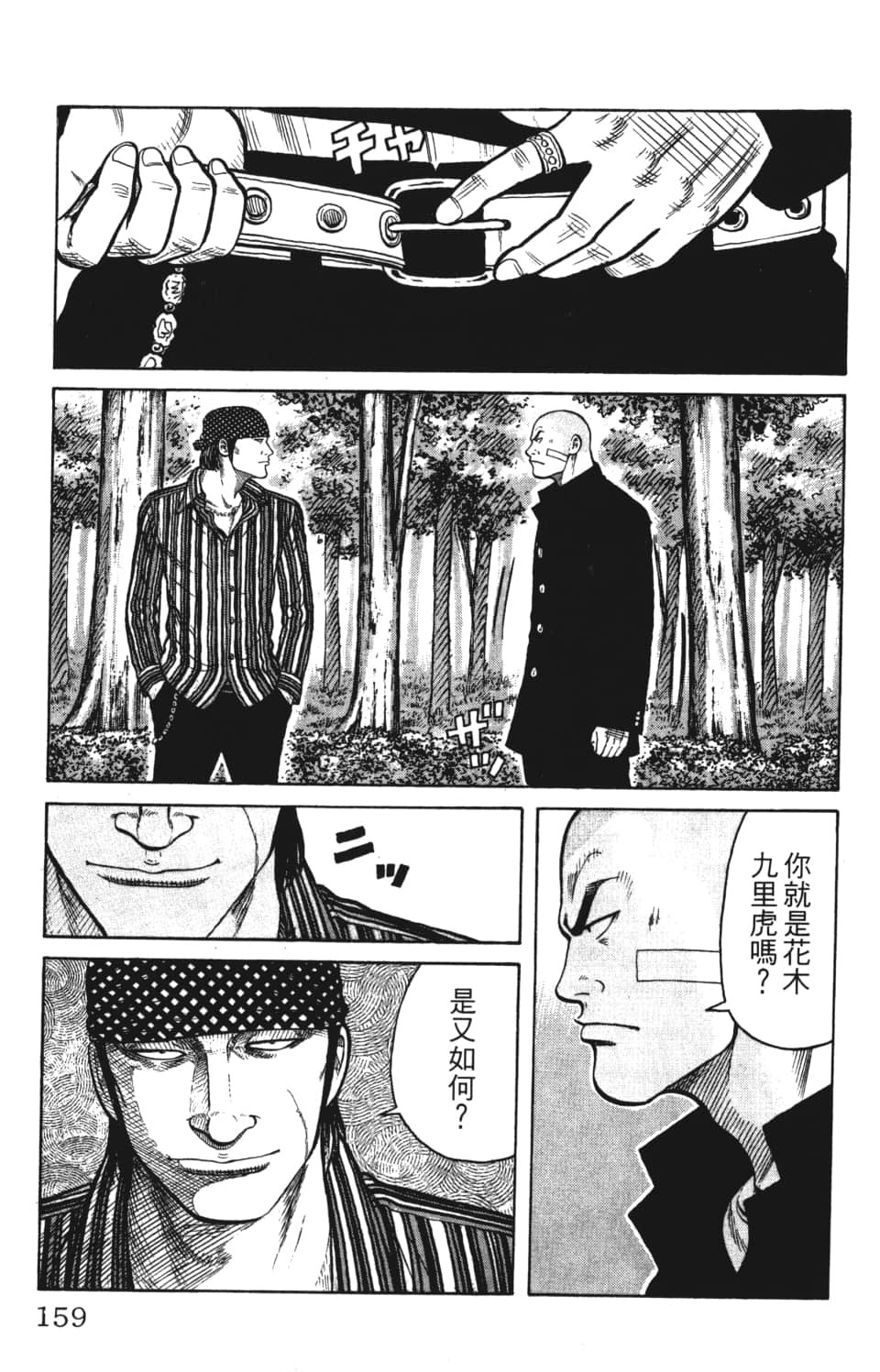 Page 161