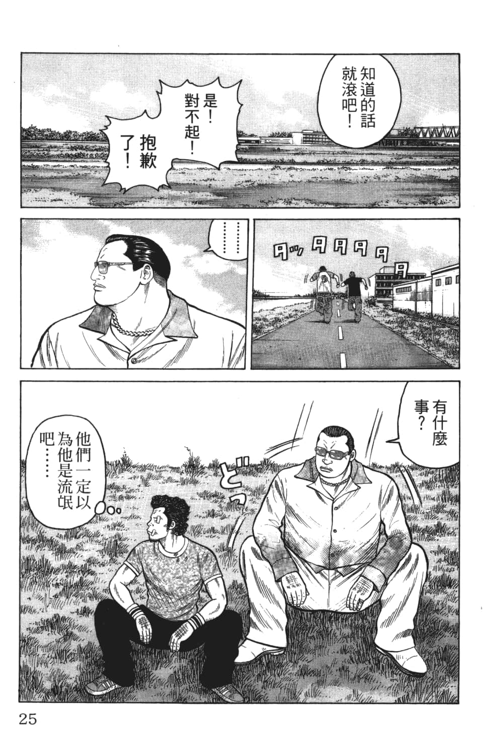 Page 25