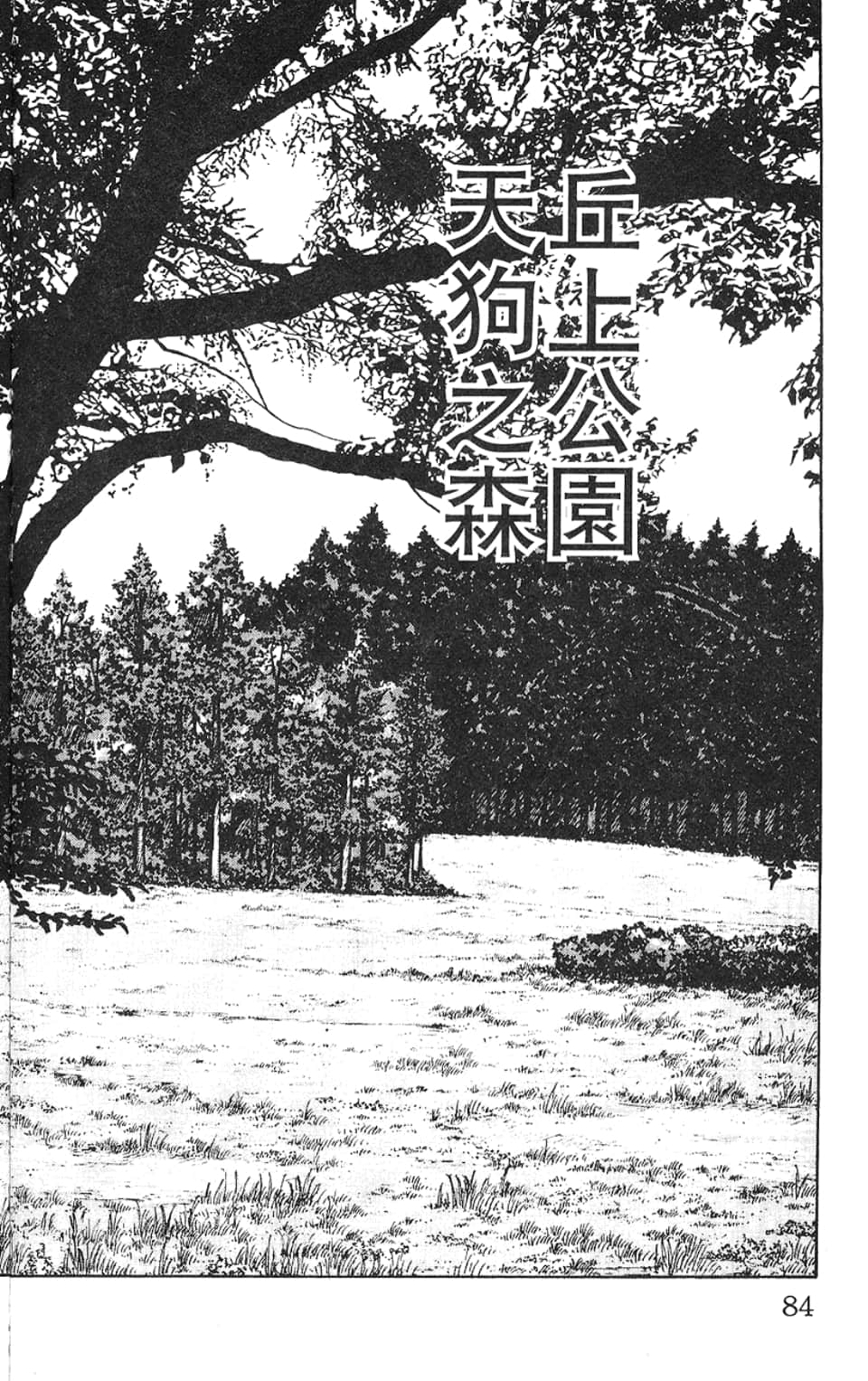 Page 85