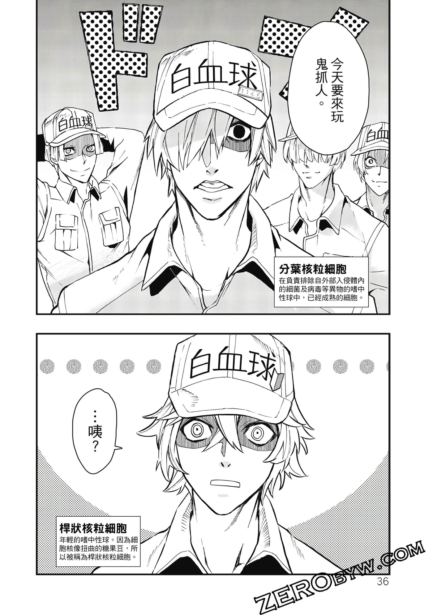 Page 37