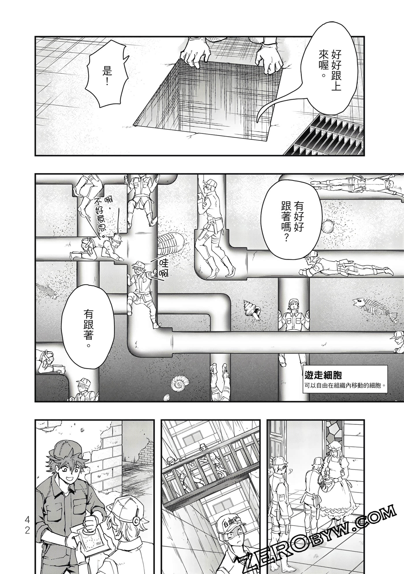 Page 43