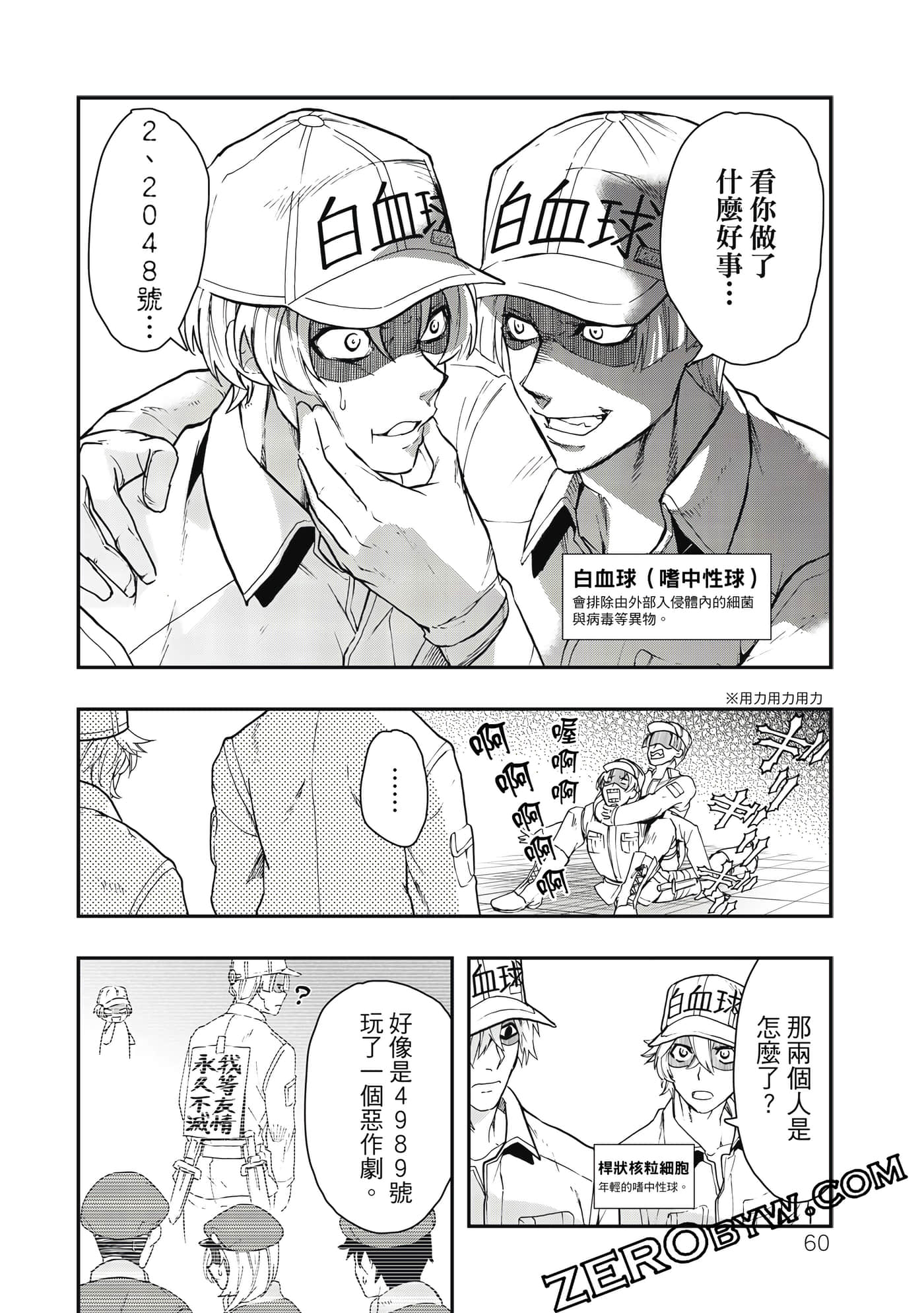 Page 61