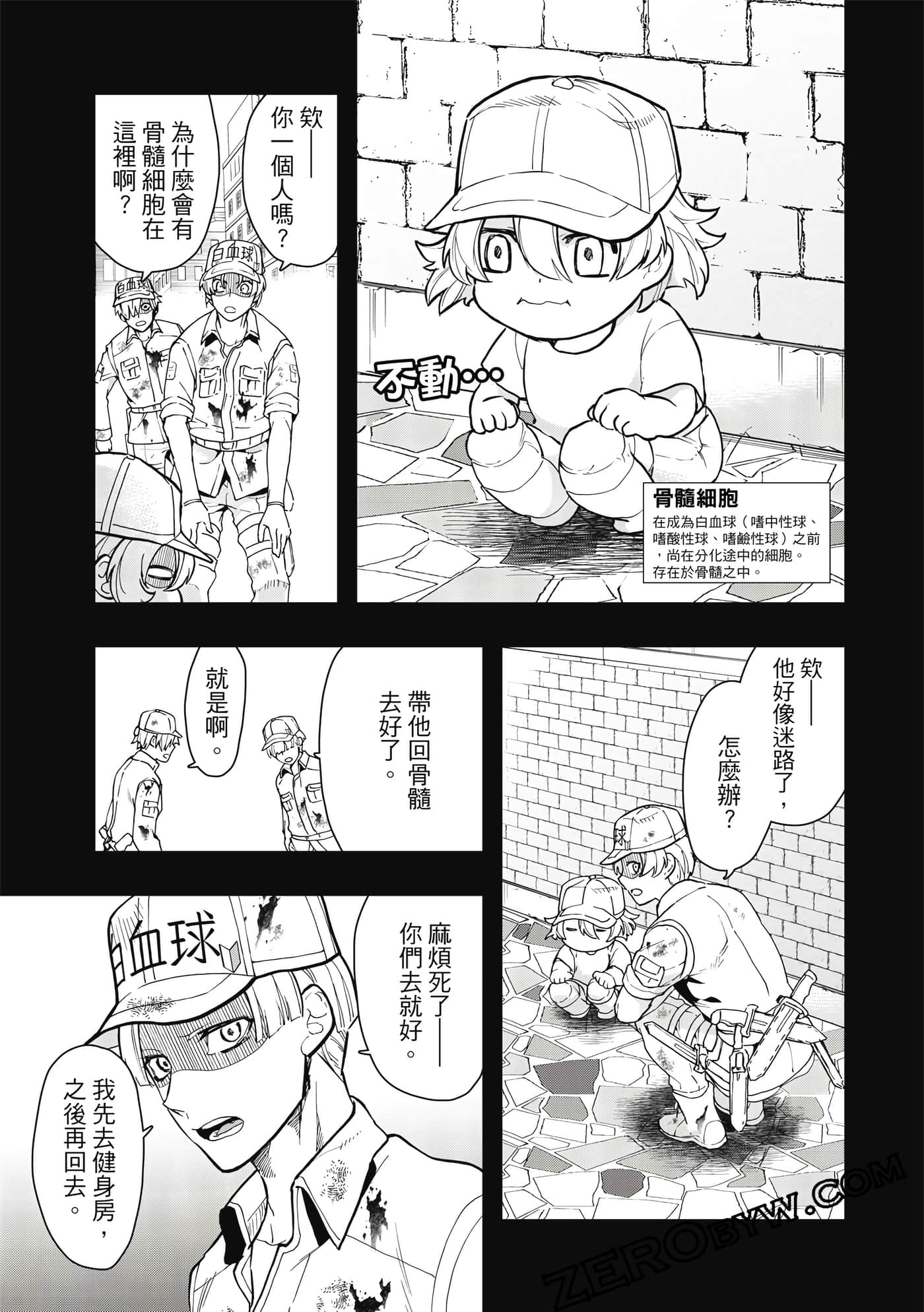 Page 96