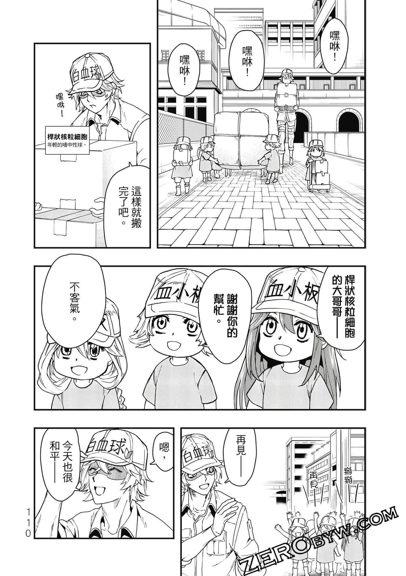 Page 111