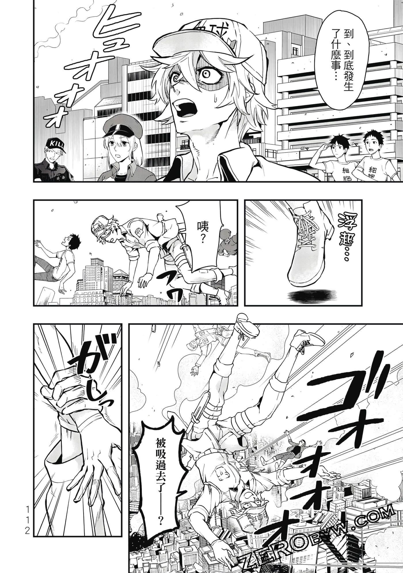 Page 113