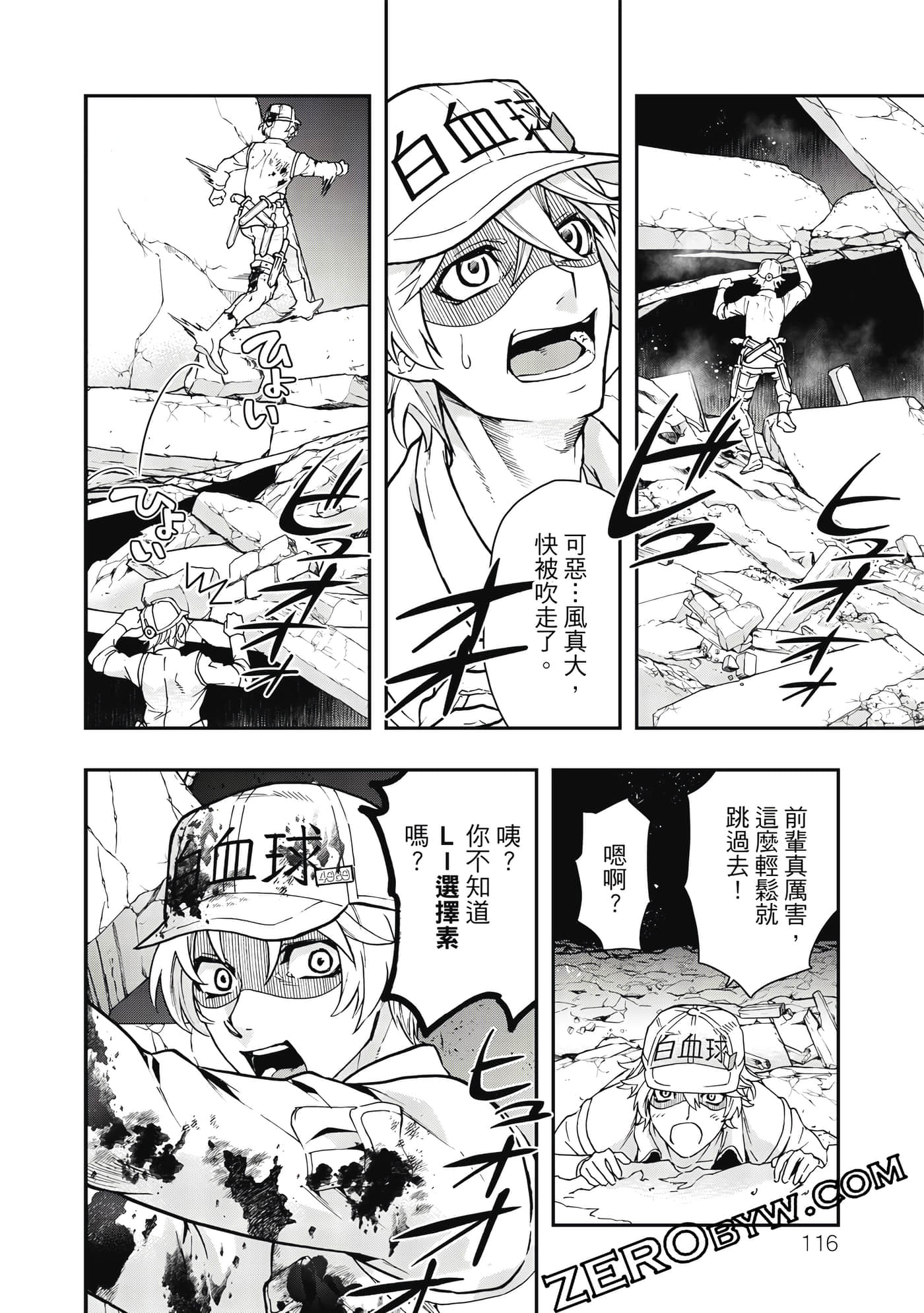Page 117