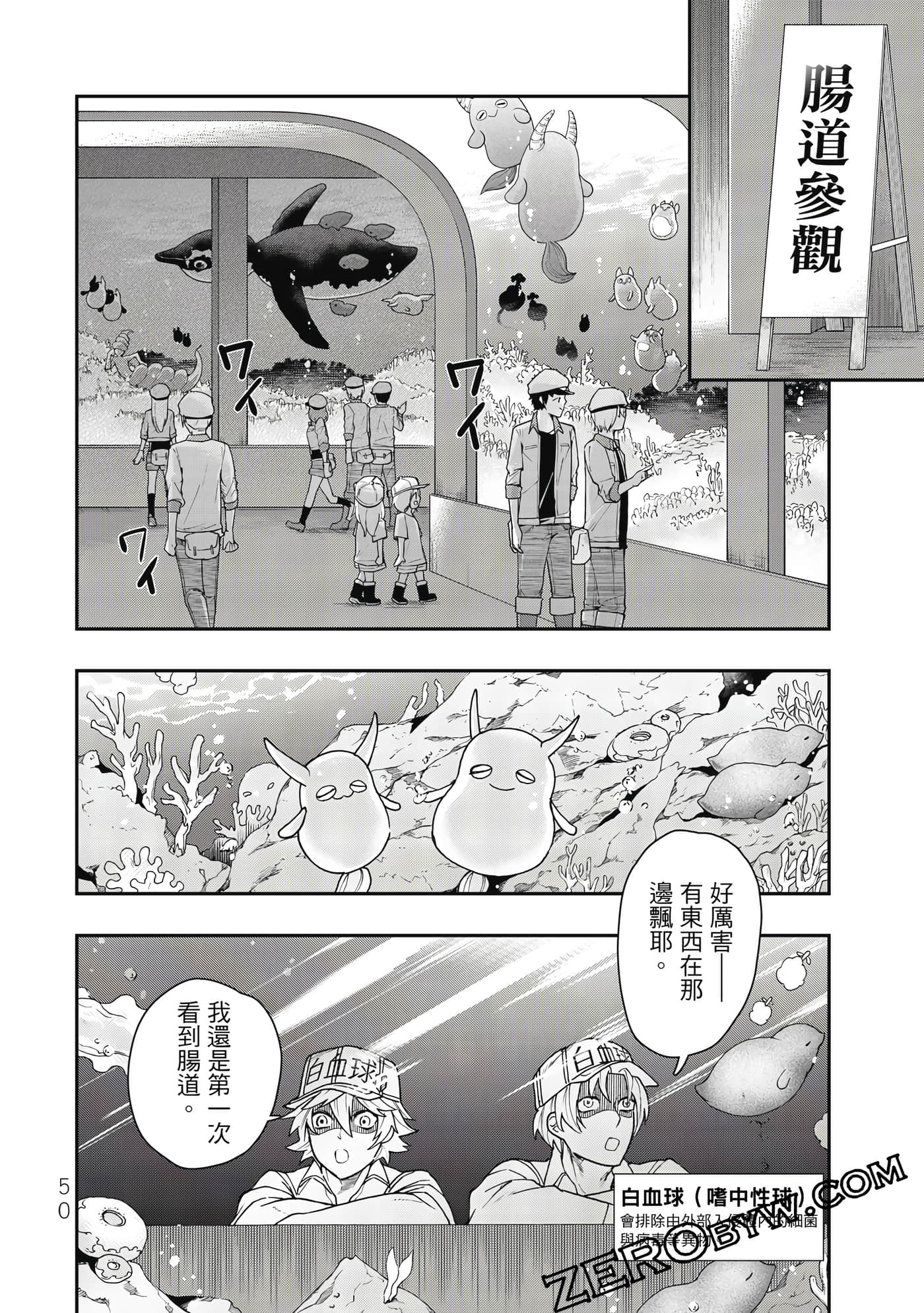 Page 51