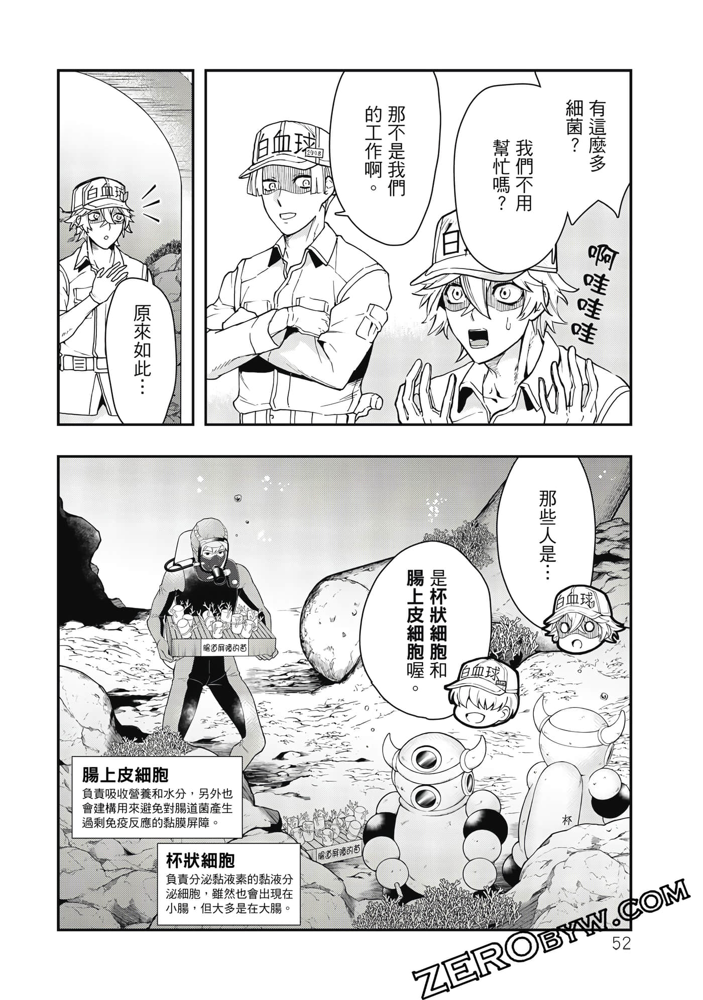 Page 53