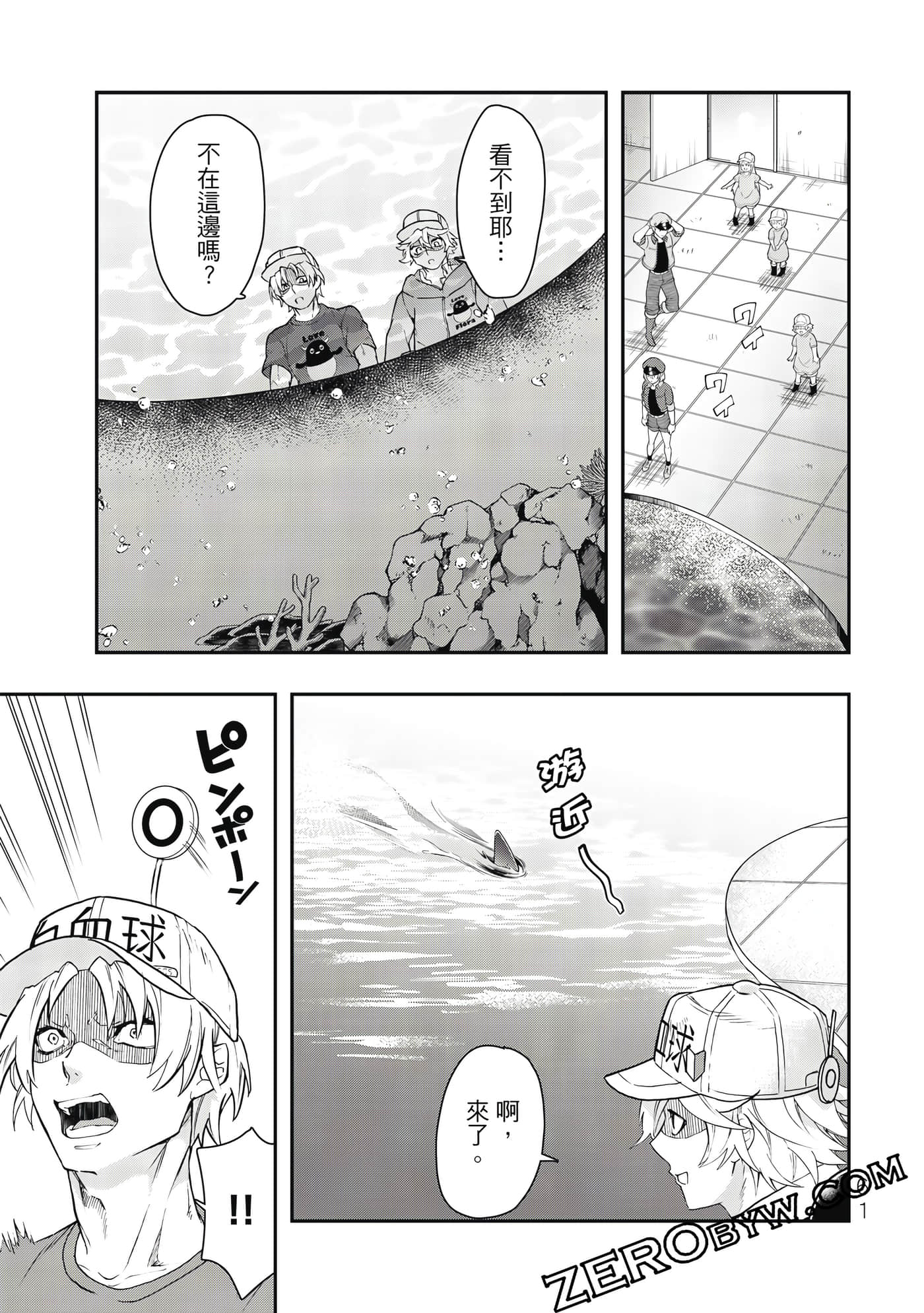Page 62