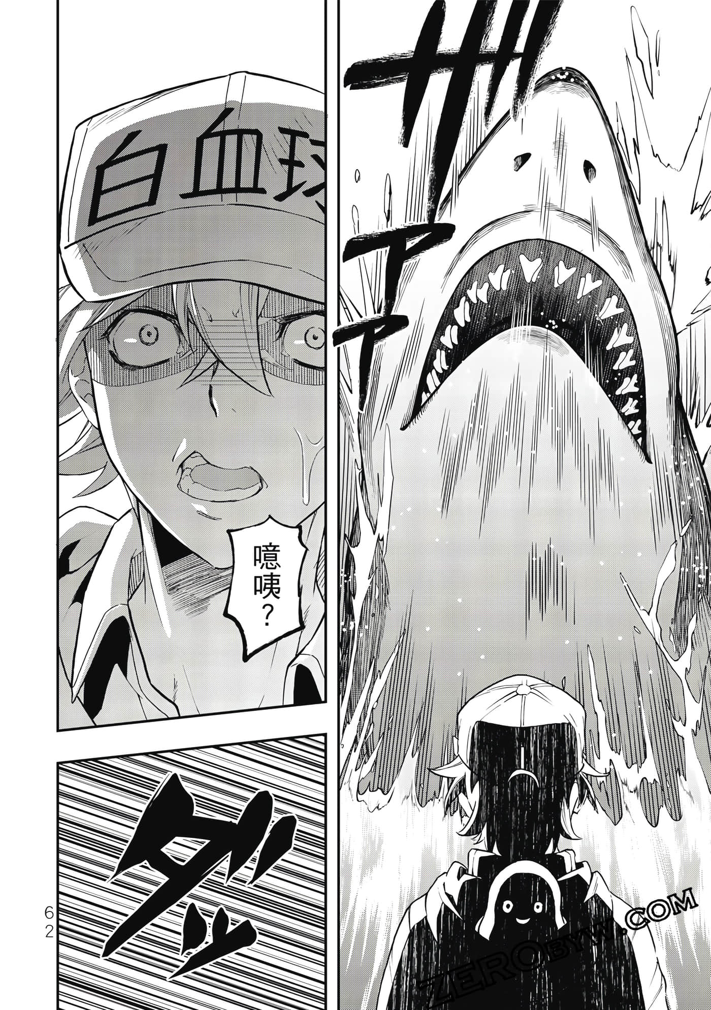 Page 63