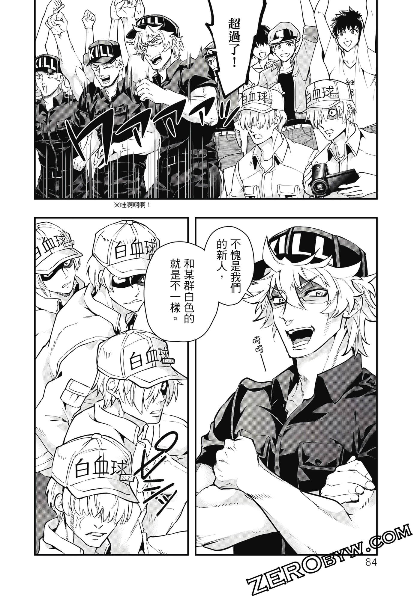 Page 85