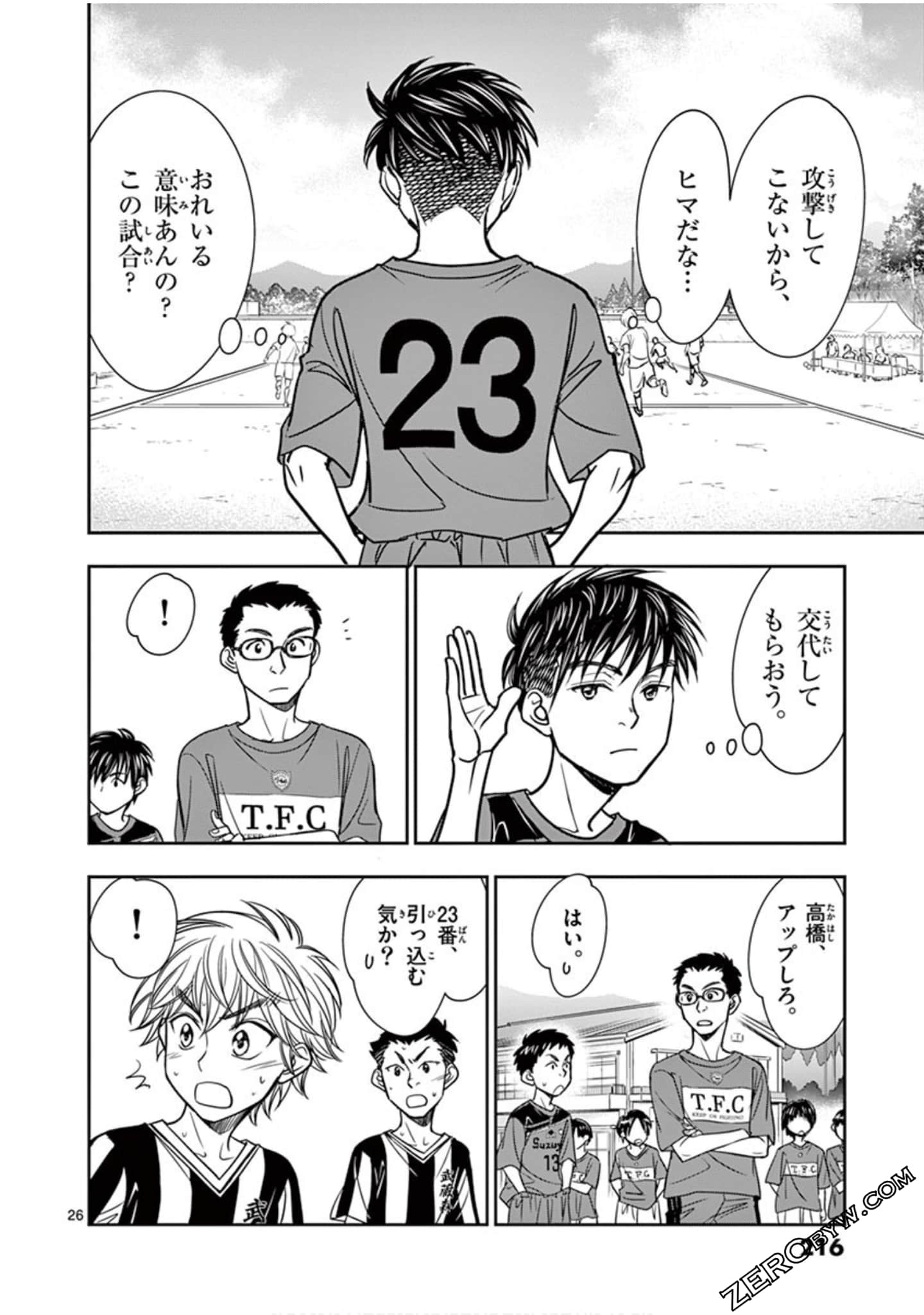 Page 217