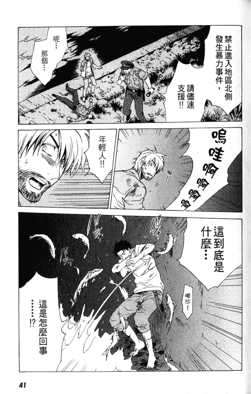 Page 41