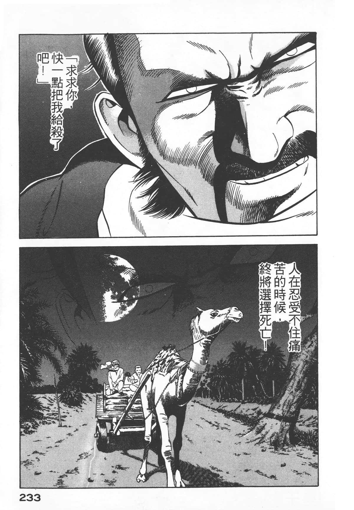 Page 235