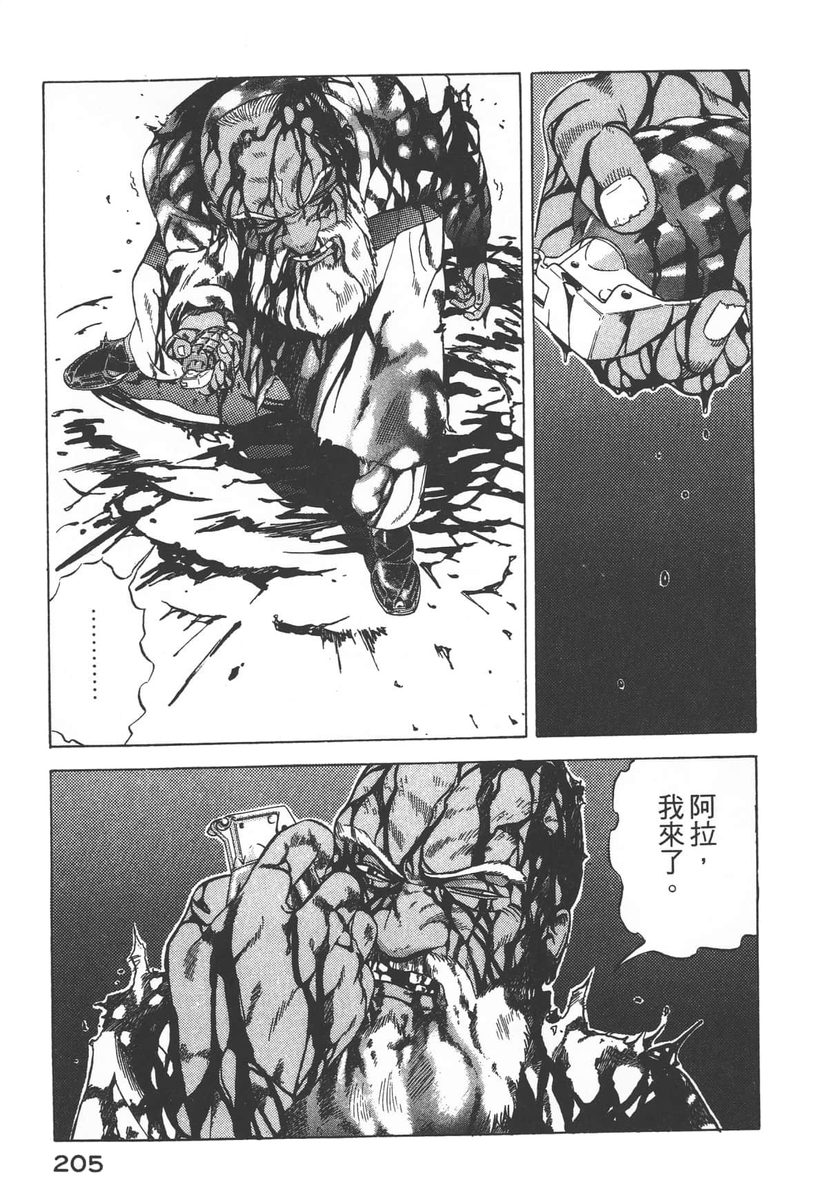 Page 207