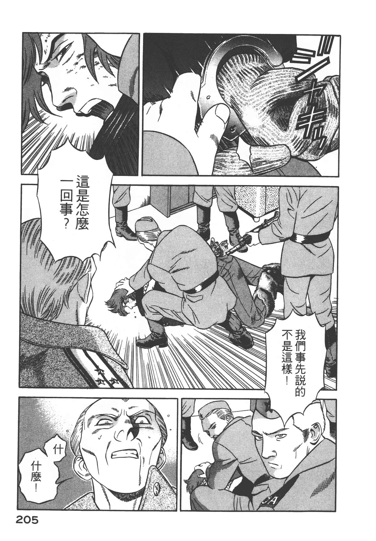 第 207 页