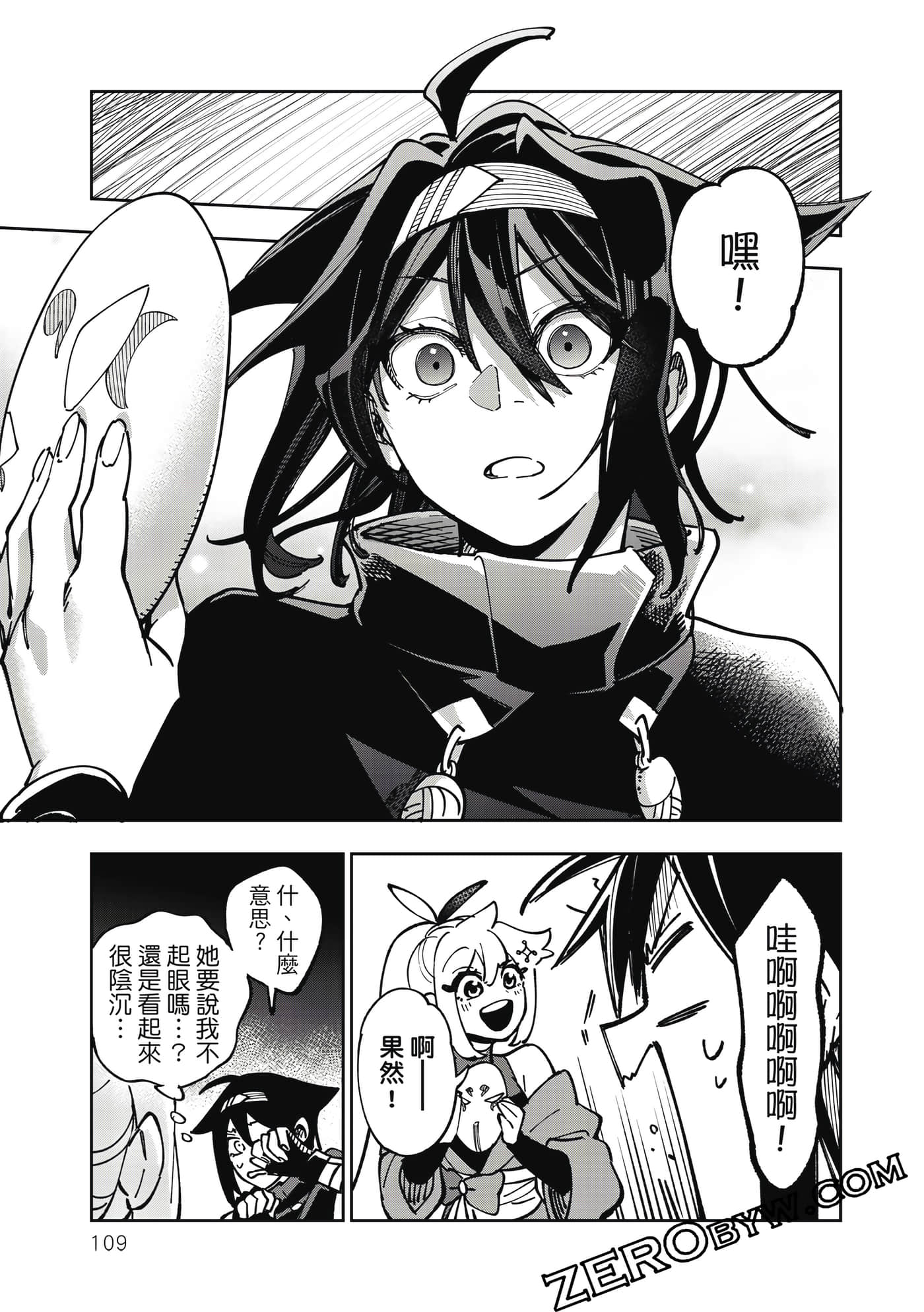 第 110 页