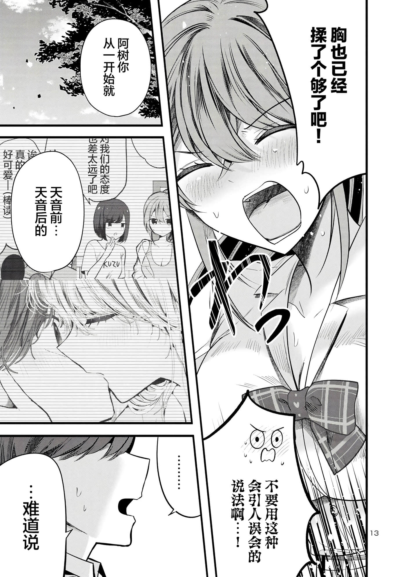 第 13 页