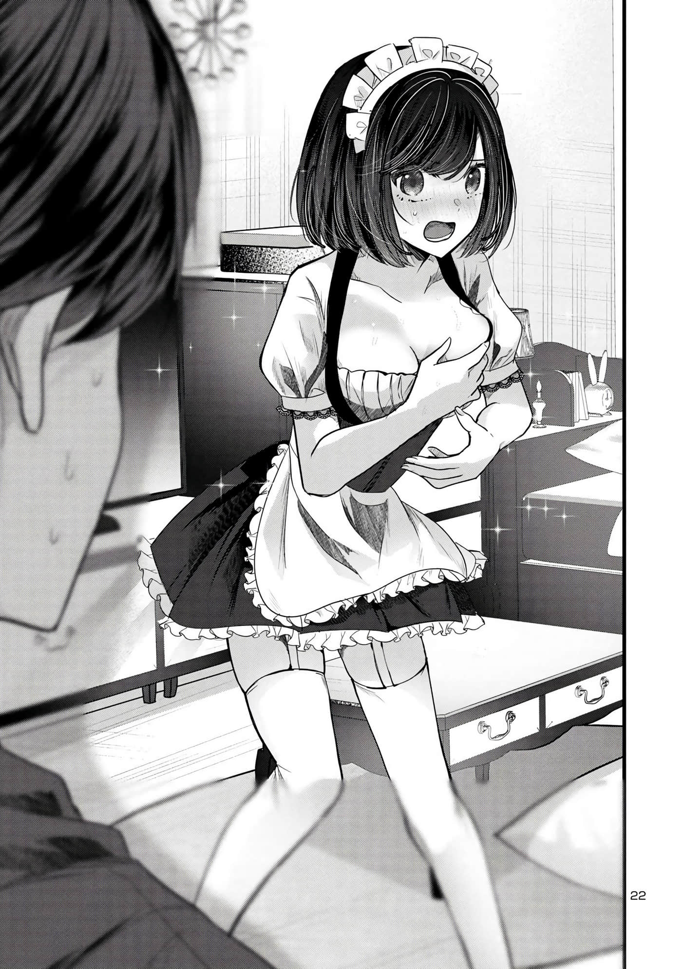 第 22 页
