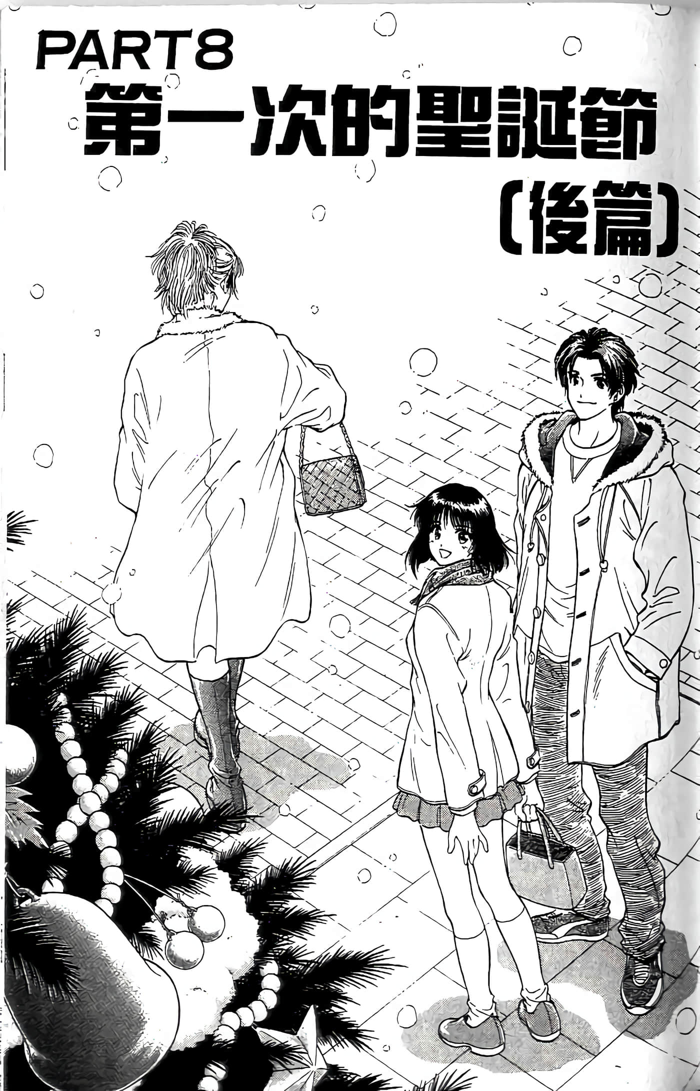 第 161 页