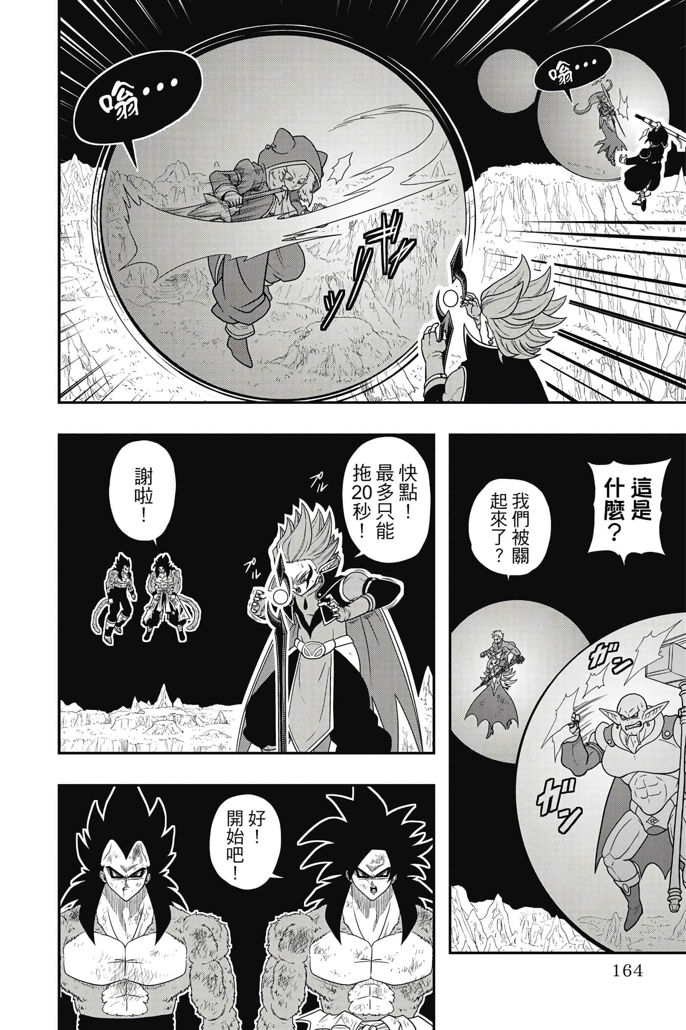 Page 163