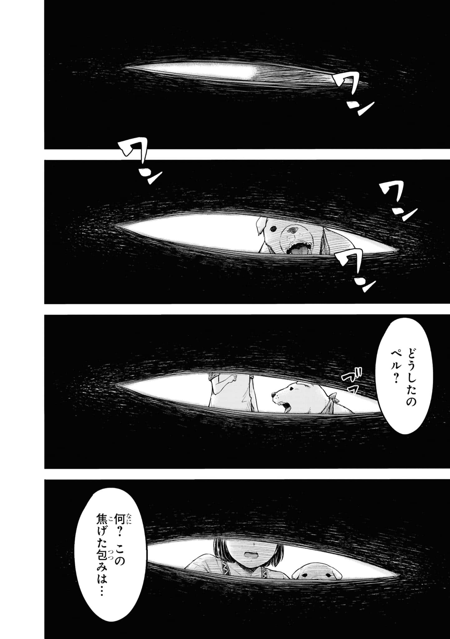 Page 225