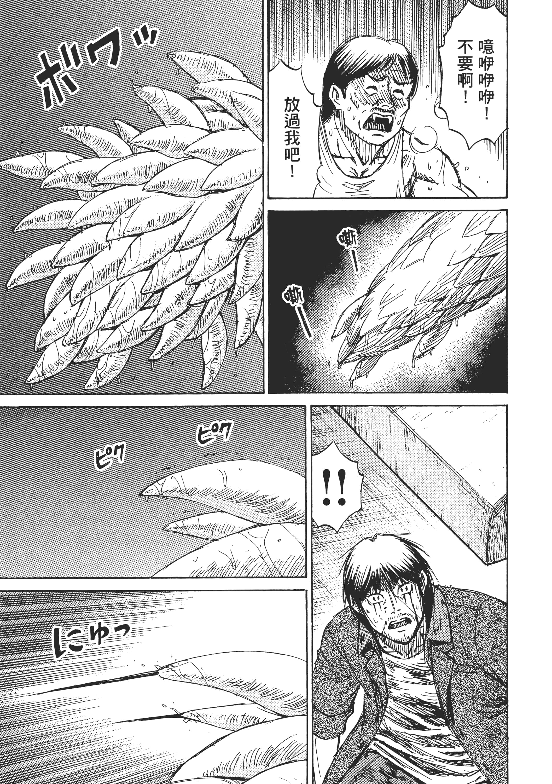第 55 页